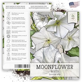 showmore moonflower 激レア MoonflowerSeedPacket_720x.jpg?