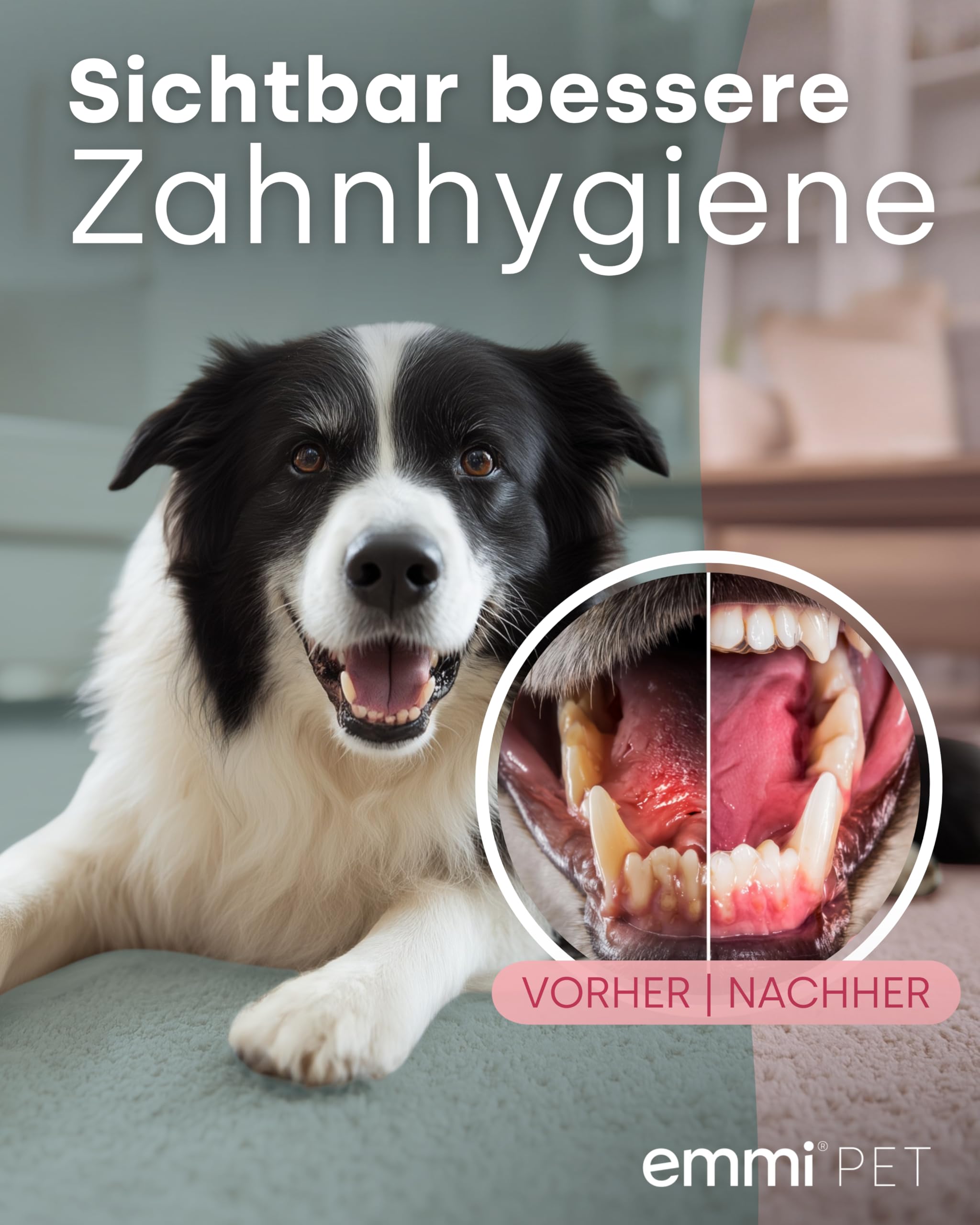 emmi-PET PRO Ultraschallzahnbürste für Hunde I Ultraschall Zahnpflege I Bis zu 96 Mio. Schwingungen/Min. & 12 Tage Akkulaufzeit I Inkl. Ladestation, Zahncreme & Aufsätzen I German Engineering