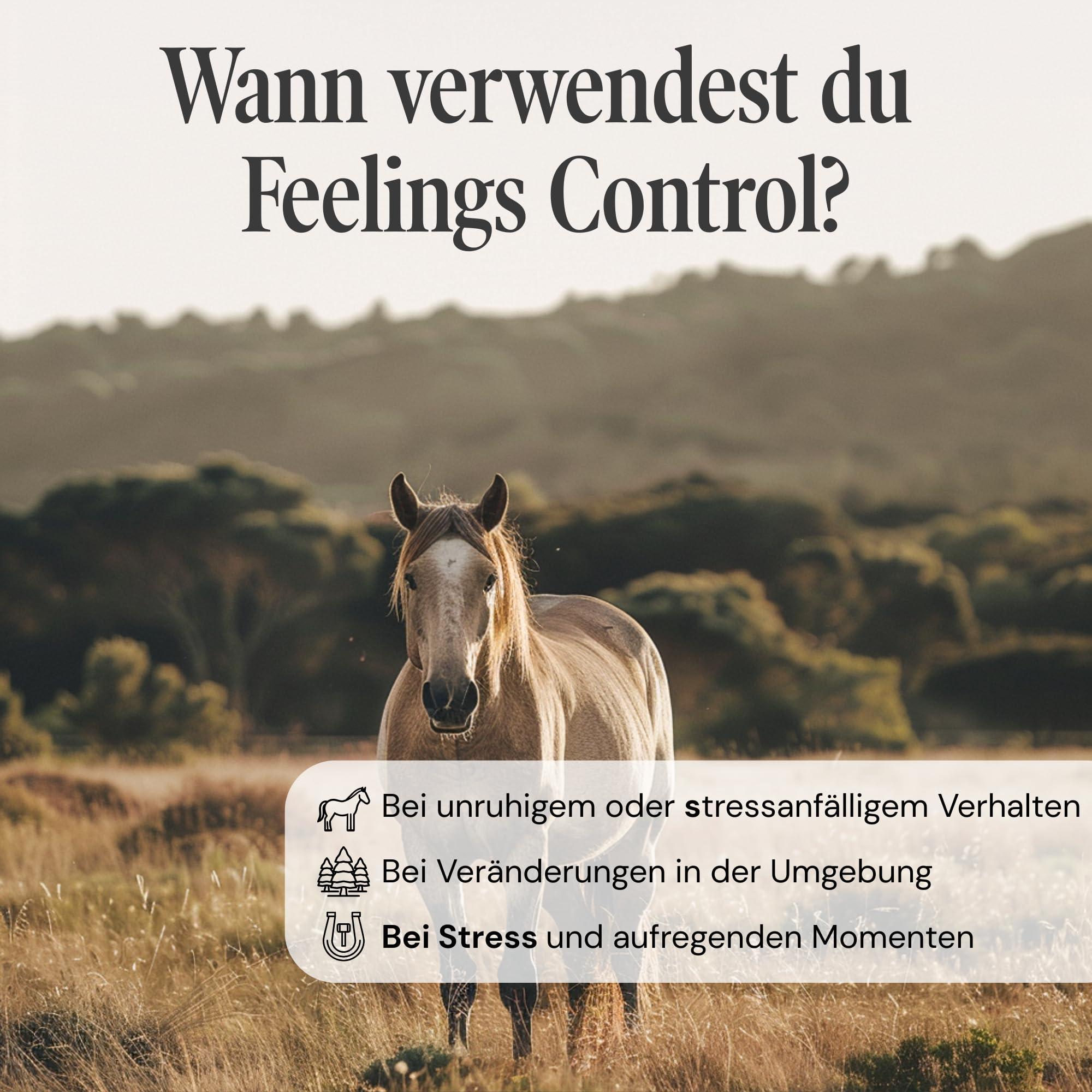 Feelings Control Pferd - Beruhigungsmittel für Pferde bei Angst, Stress & Unruhe - natürliches Anti-Stress Ergänzungsfutter bei Reisen, Training & Turnieren - 180 Tabletten à 1000 mg