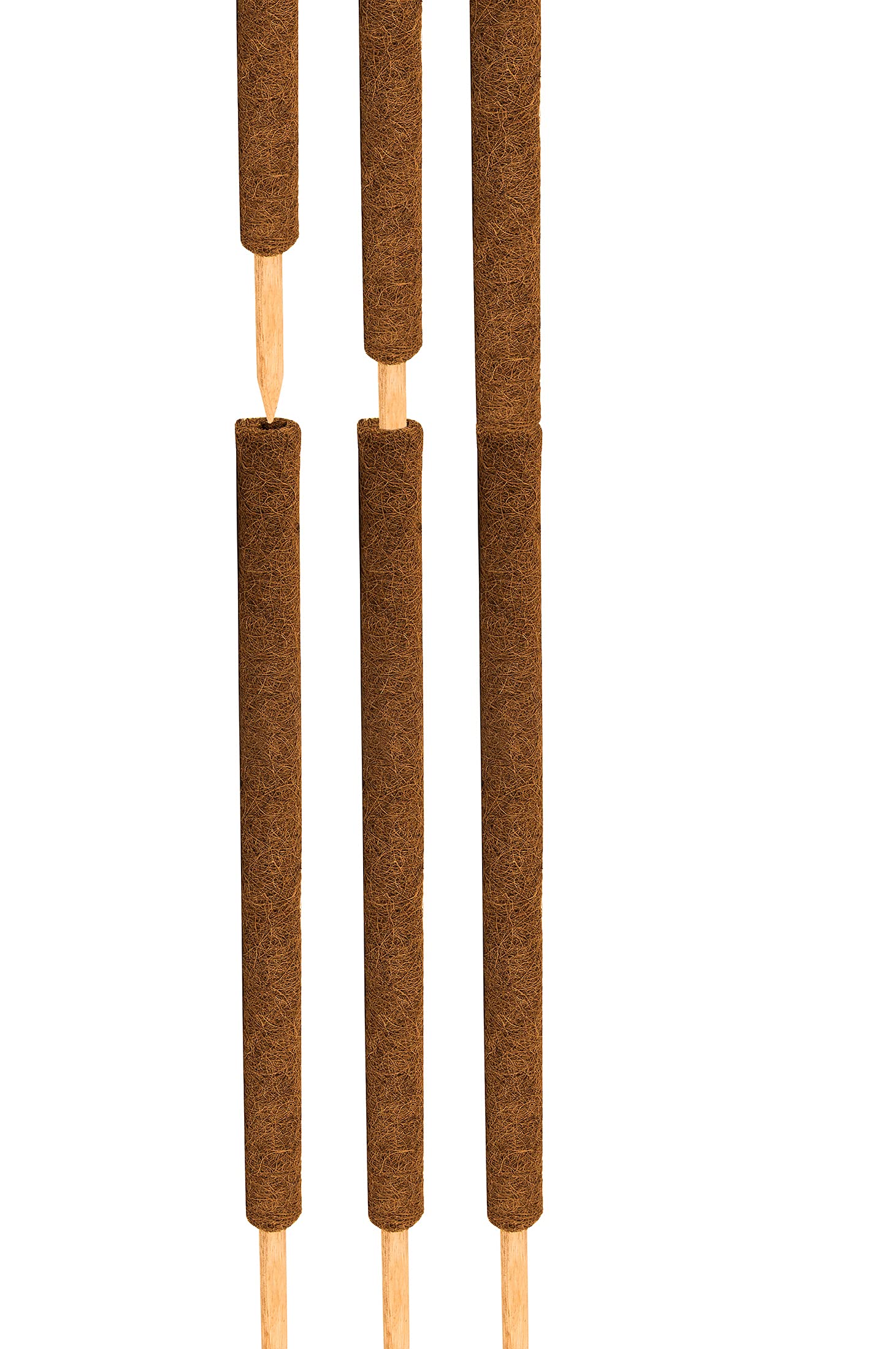 Lot de 8 tuteurs de fleurs en coco - 110 cm - Pour décoration - En fibre de coco naturelle - Extensible