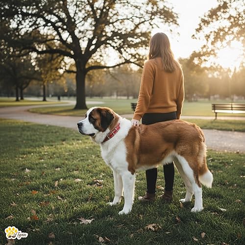 Miniatura 8 de ADITYNA Collar de cuero resistente para perros extra grandes, collar de cuero rojo suave y fuerte para razas XL