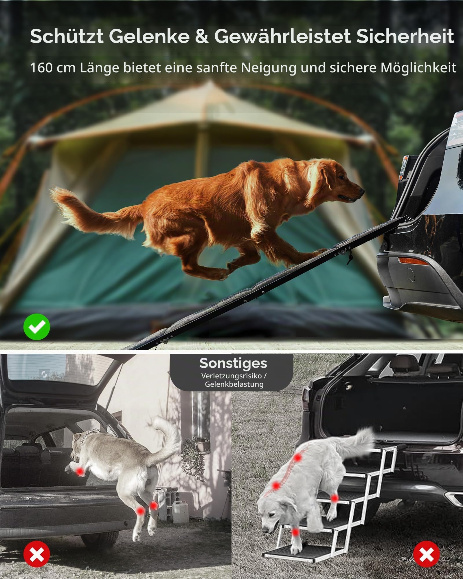 PetThem Hunderampe für Auto, 160 cm lang & 43,2 cm breit, tragbare Hunderampe für große Hunde mit Rutschfester Teppichoberfläche, Hunderampe für SUV, Auto & LKW, zusammenklappbare Hunderampe bis zu