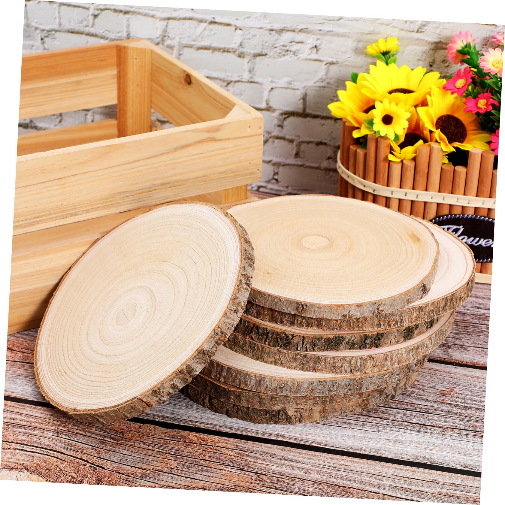 PLAFOPE 8 Piezas Rodajas de Madera Natural Corteza de Madera sin Terminar para Manualidades Decoración Rústica y Proyectos Creativos