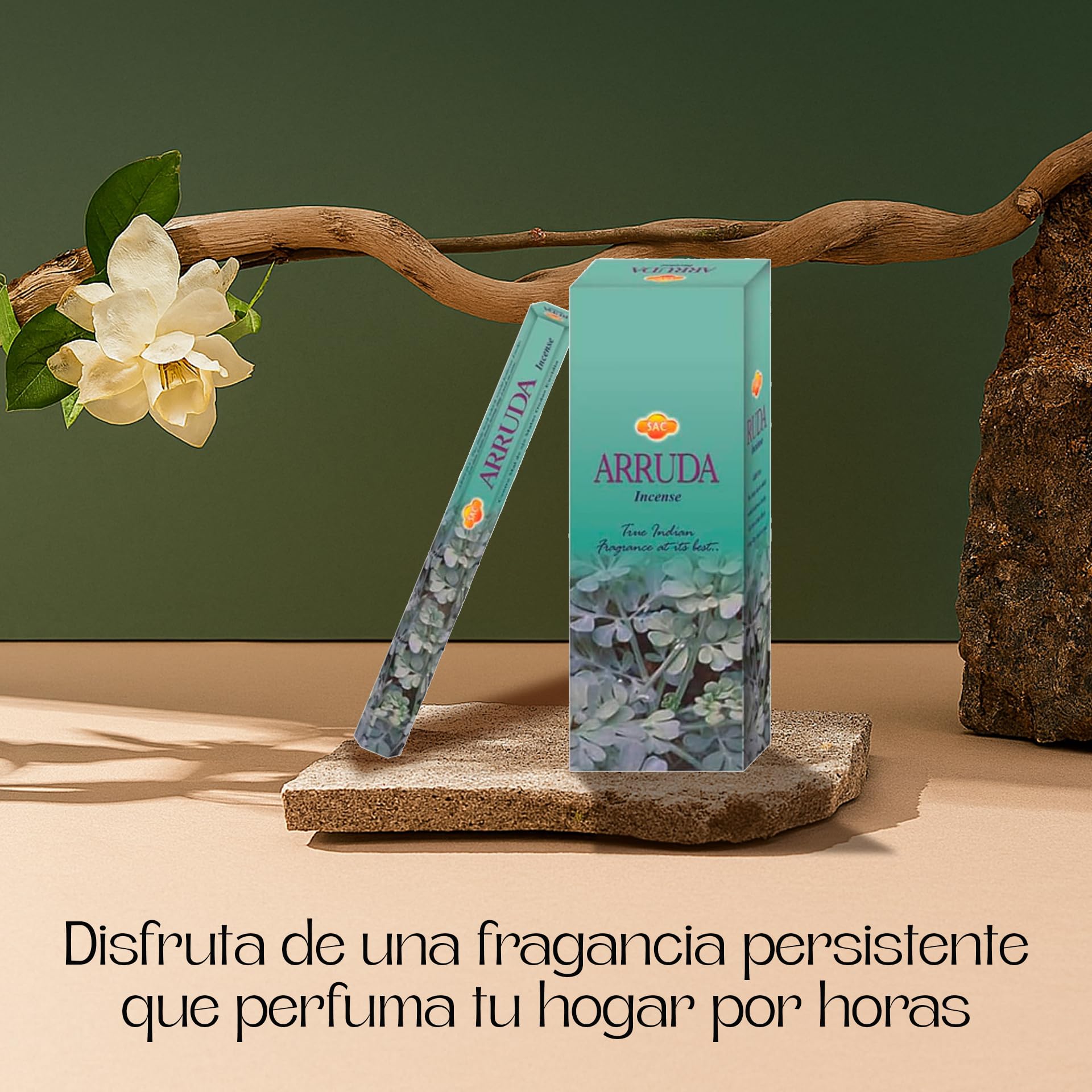 Aromasenses Incienso de Ruda Hexagonal Caja 6 Tubos 20 Varillas Fragancia Herbal Protectora