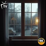 Spring Rain Window – Gentle Rain & Cozy Indoor Ambience for Sleep, Relaxation & Focus
