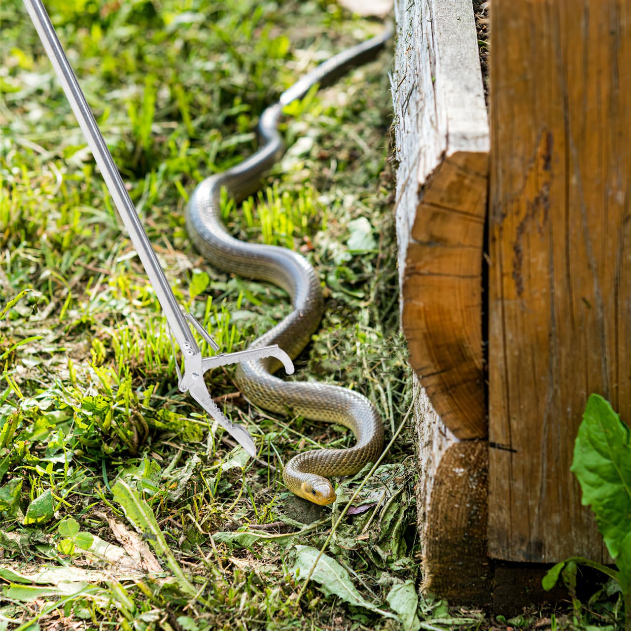 Happyyami Pinza Serpente in Acciaio Inossidabile 23.6 Pollici Pieghevole Strumento Leggero per Cattura Sicura di Serpenti per Giardino Agricoltura E Montagna