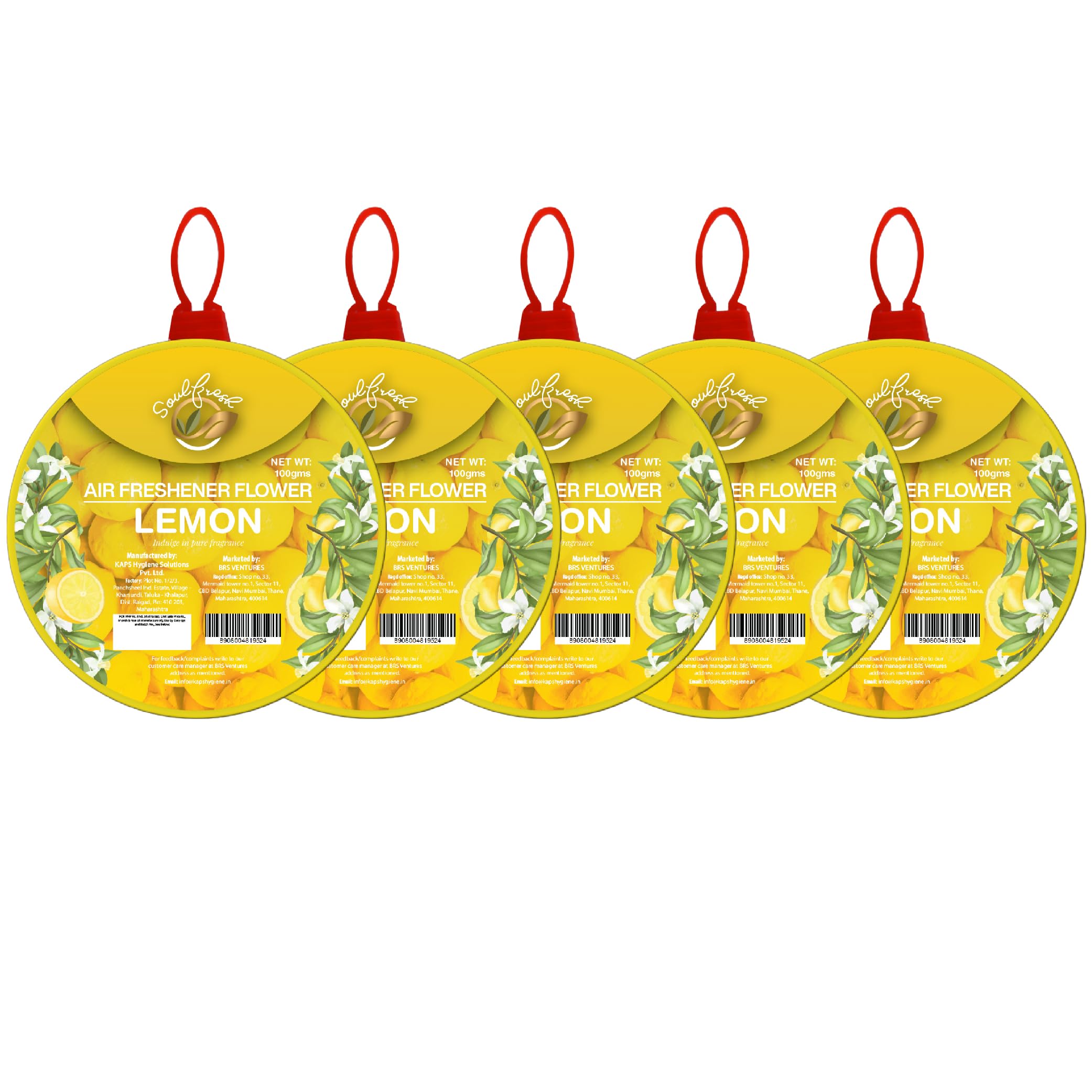 SOULFRESH Air Freshener Flowers block 100gm each, contain 5 flowers CITRUS Zest: Infuse Your Space with Vibrant Fragrance (B0C9V5KRKZ) Amazon Price History, Amazon Price Tracker