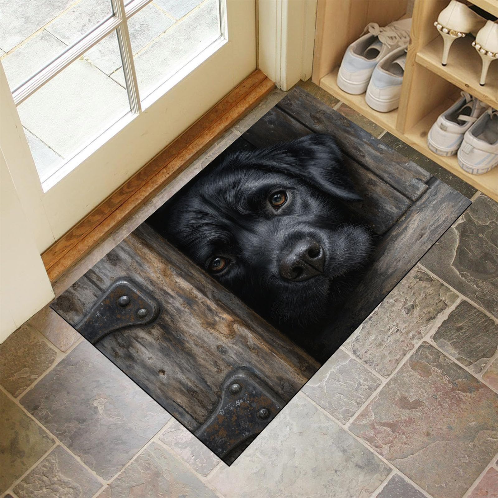 Paillasson Fin pour Couloir Chien Labrador Tapis Entree Noir 90x150