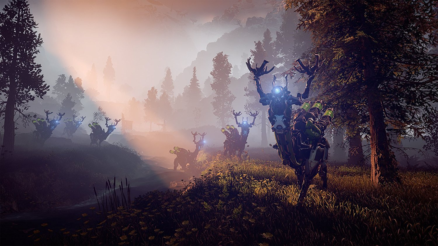 Amazon.com: Horizon Zero Dawn Collector's Edition : Video Games