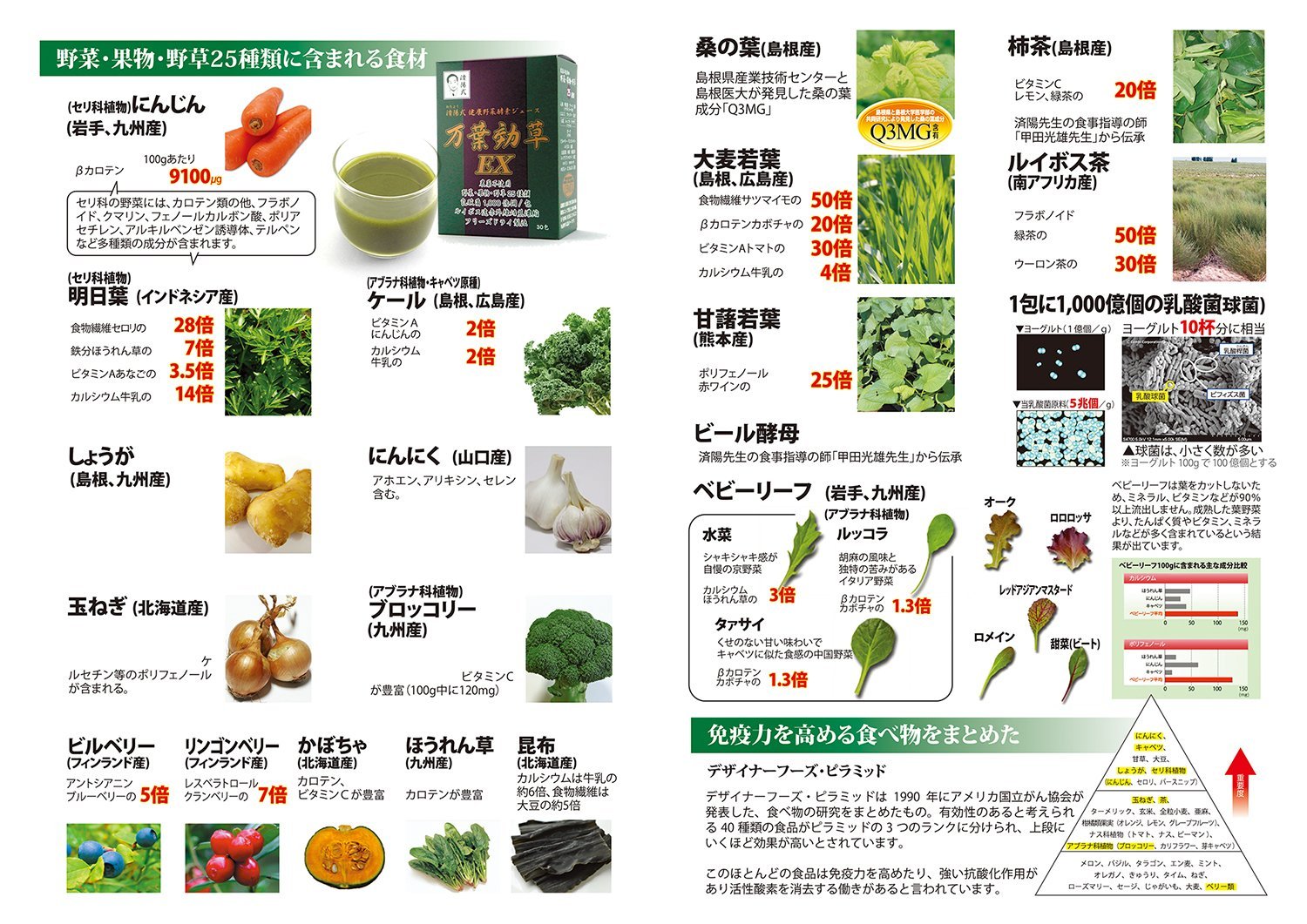 Amazon | AIGエム 済陽式 健康野草ジュース 万葉効草EX＜3箱セット