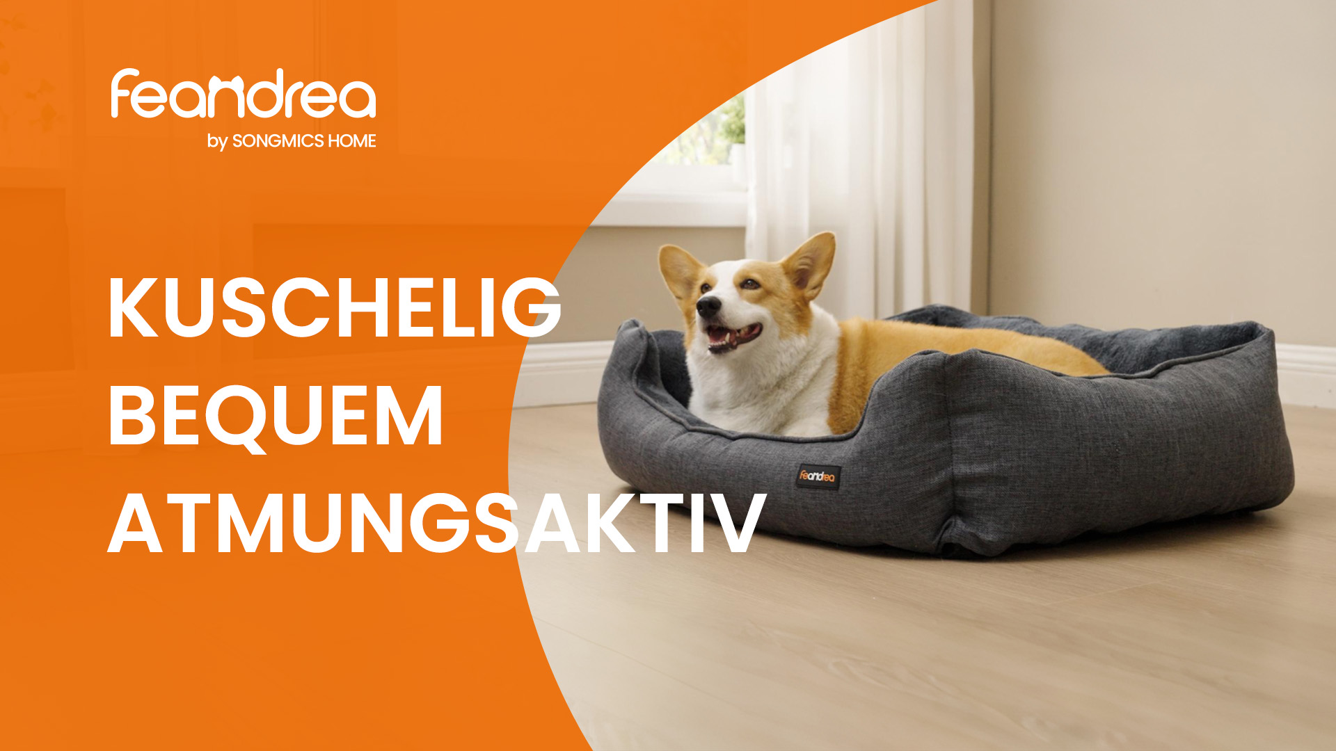 JOEJOY Hundebett Kleine Hunde, Hundekorb Mit Herausnehmbar Decke, Hundebetten Cord Flauschiges
