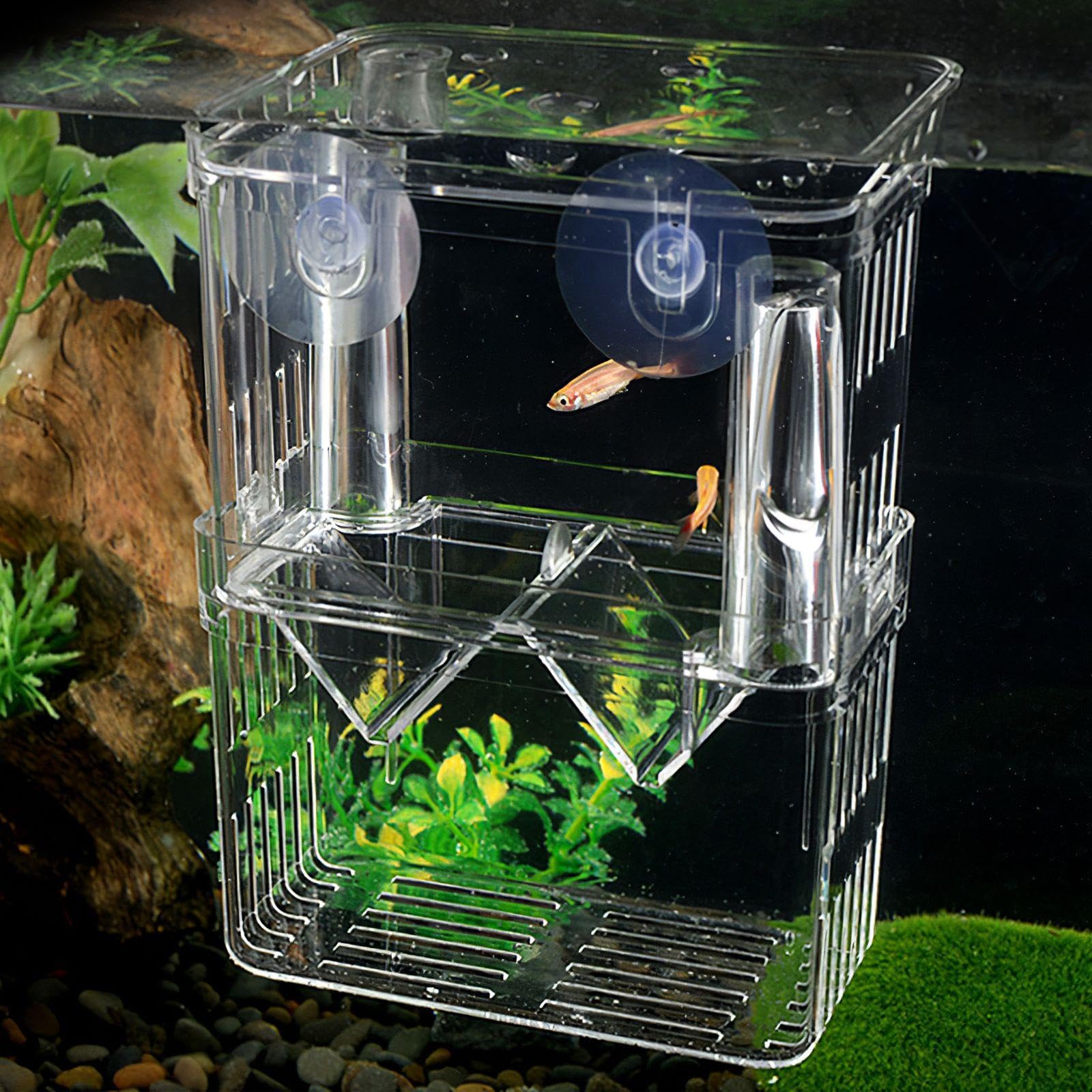 2 Pezzi di Serbatoio di Plastica Trasparente, Scatola da Cova di Pesce, Forniture per Animali Domestici, Scatola da Alimentazione dei Pesci.