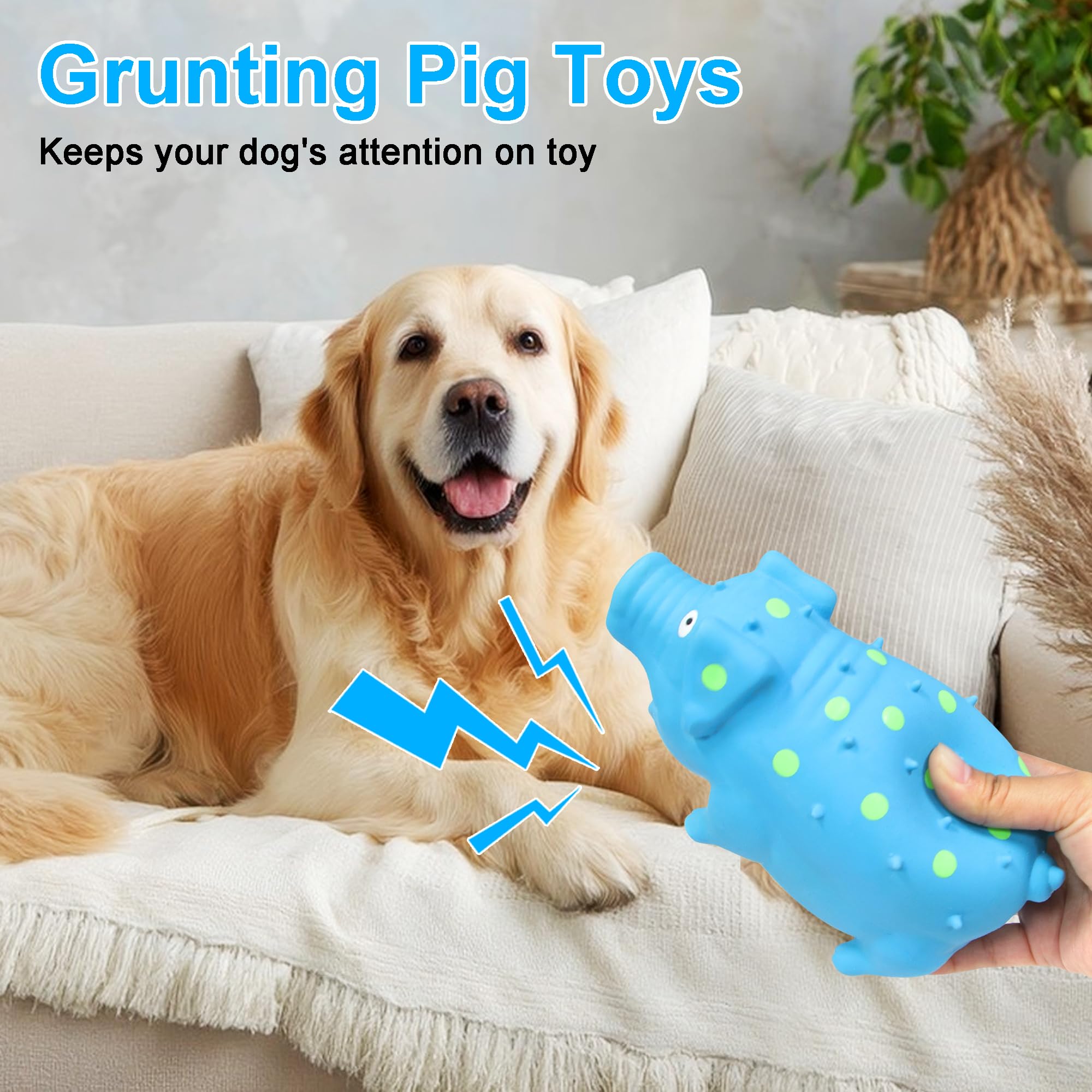 Quietschendes Schwein-Hundespielzeug, interaktives, langlebiges Latex-Gummi, Kauspielzeug für mittelgroße und große Hunde, 2 Stück (blau + lila)