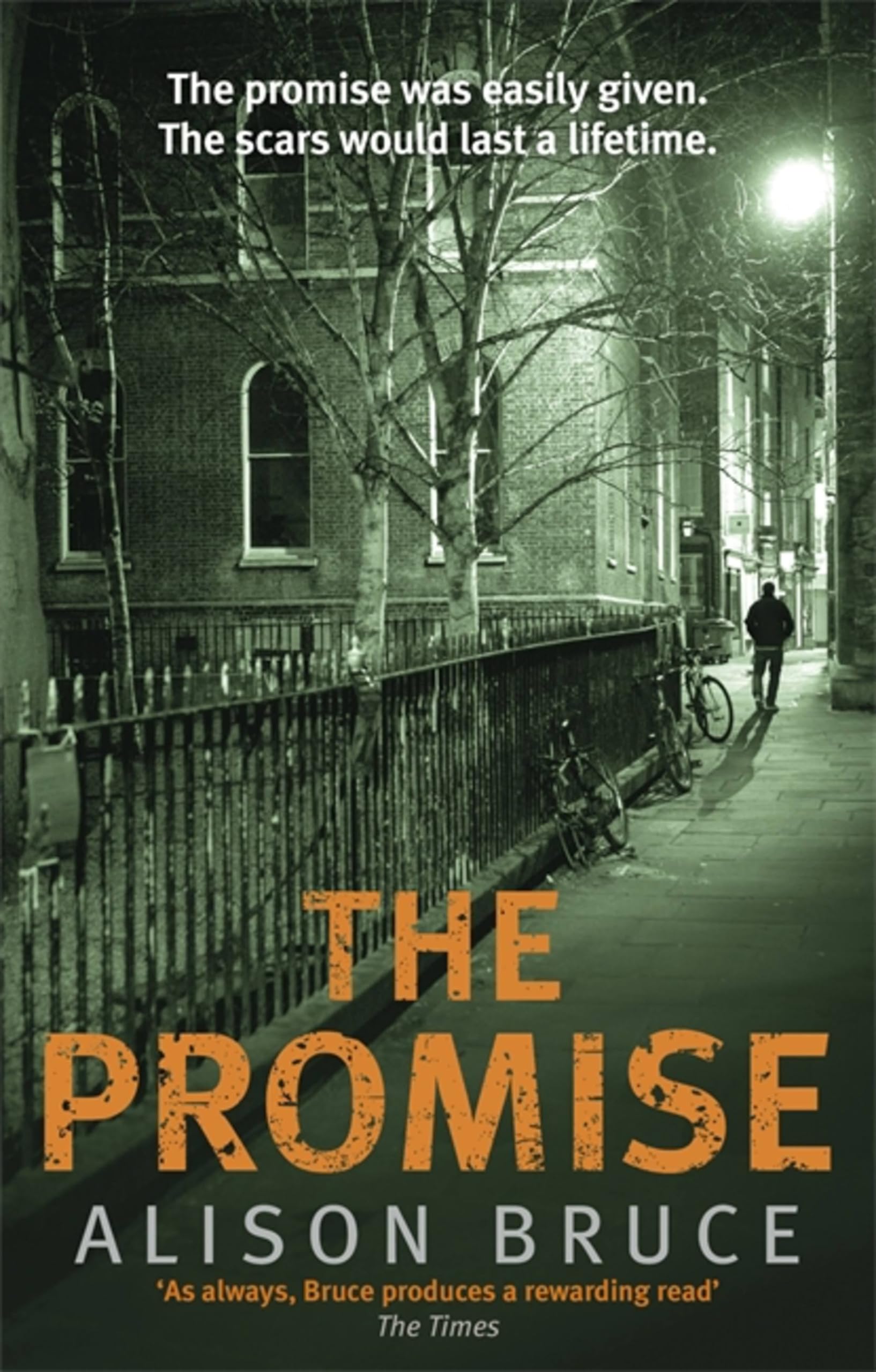 The Promise by Alison Bruce (Paperback, 2016)