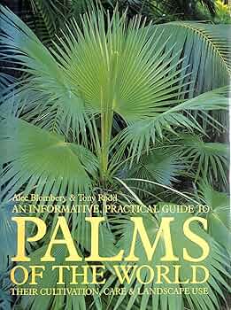 palms 20〜60g19本 palms 20〜60g19本