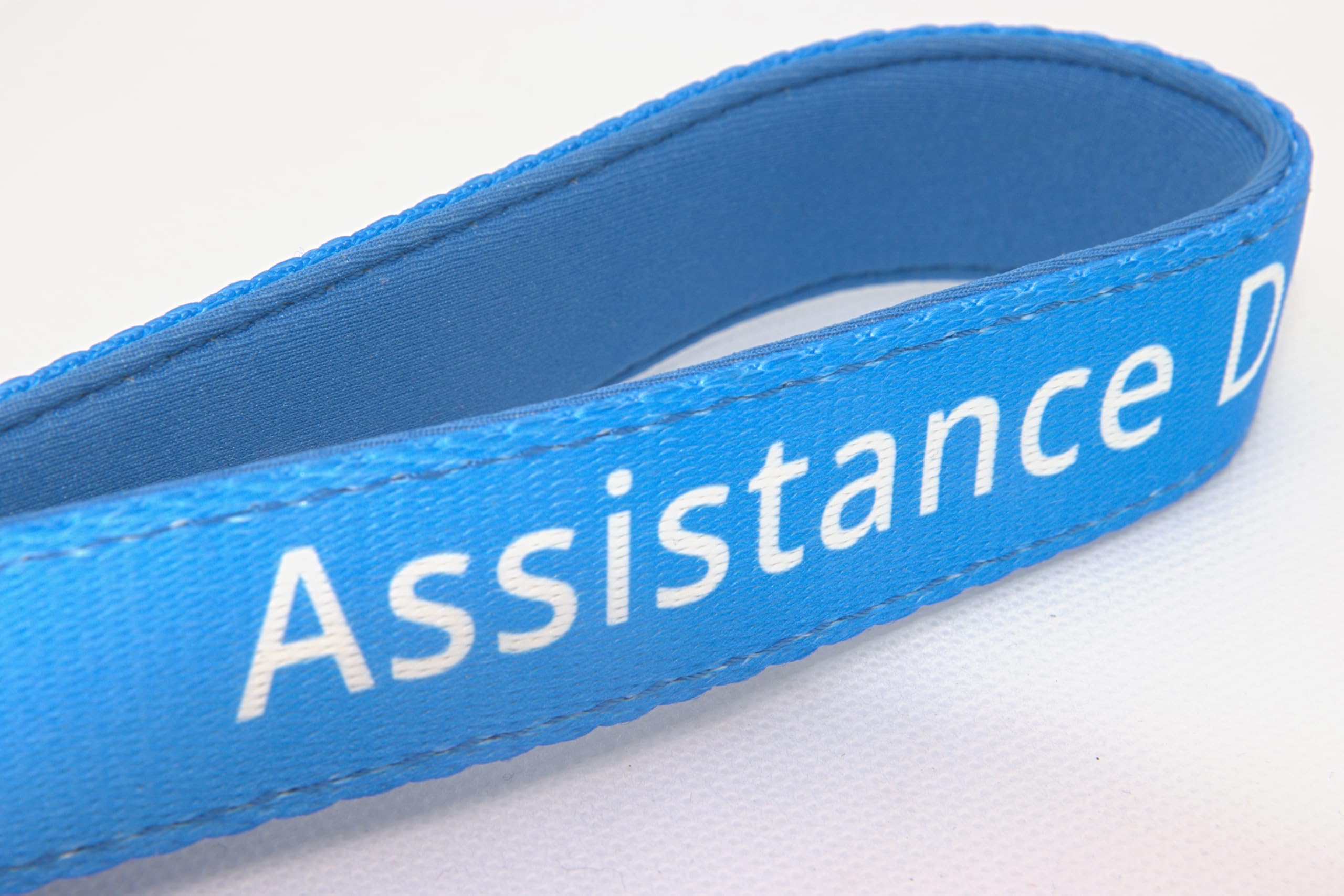 Durable Blue Assistance Dog Lead - 2.5cm/152cm - Padded Handle, Large - Image 3
