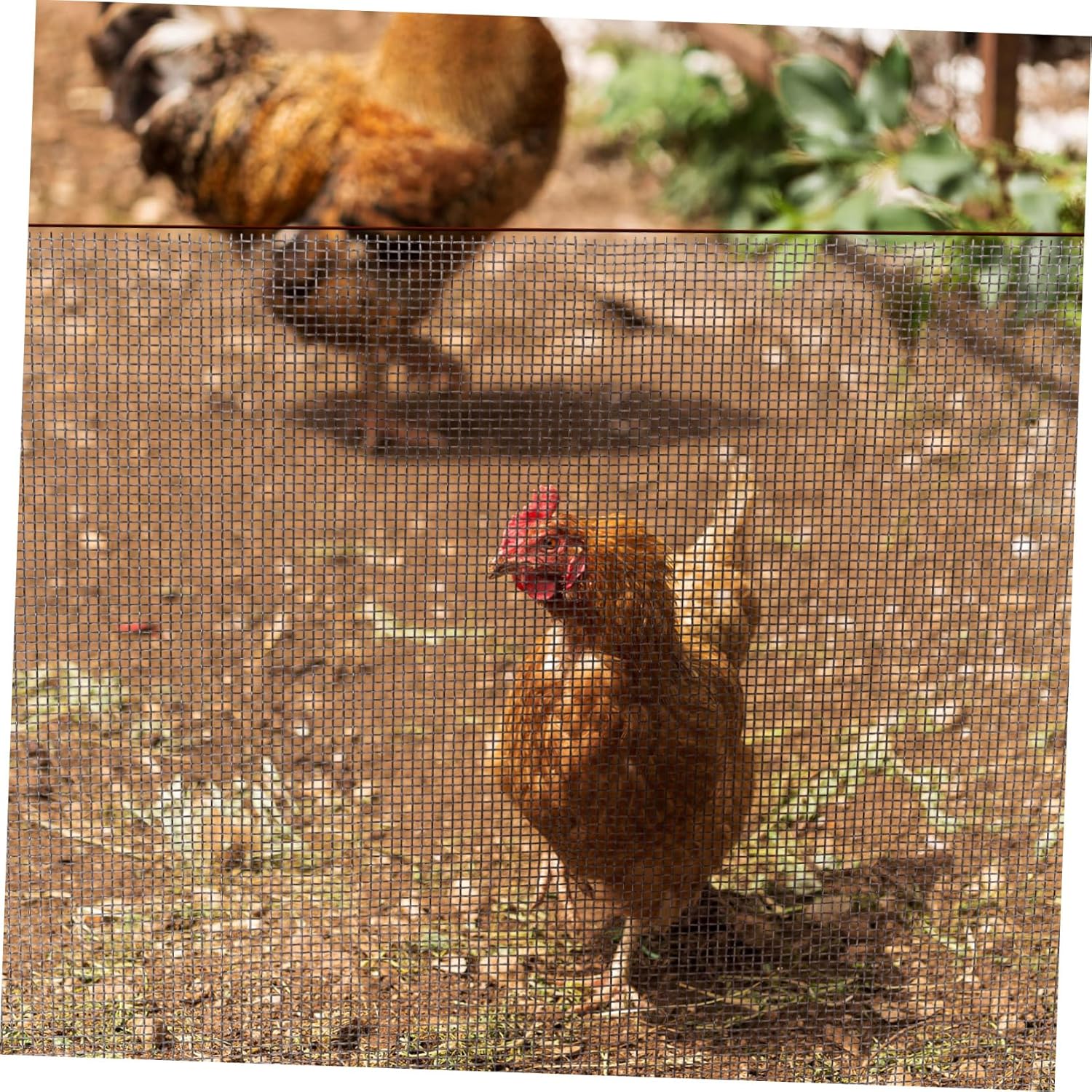 1roll Stainless Steel Wire Mesh Fine Metal Mesh for Screening Filtering and Ventilation and Easy to Cut for Home and Garden Use