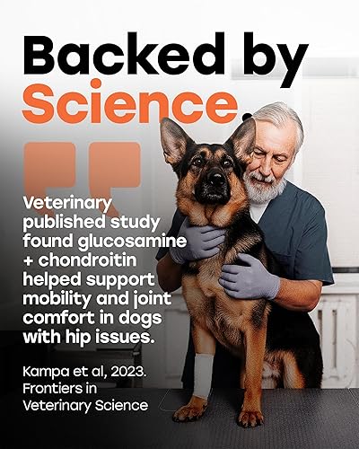 Miniatura 6 de Glucosamine 500mg Suplemento de apoyo para cadera y articulaciones para perros  Condroitina, colágeno, MSM y cúrcuma masticables  Apoya la