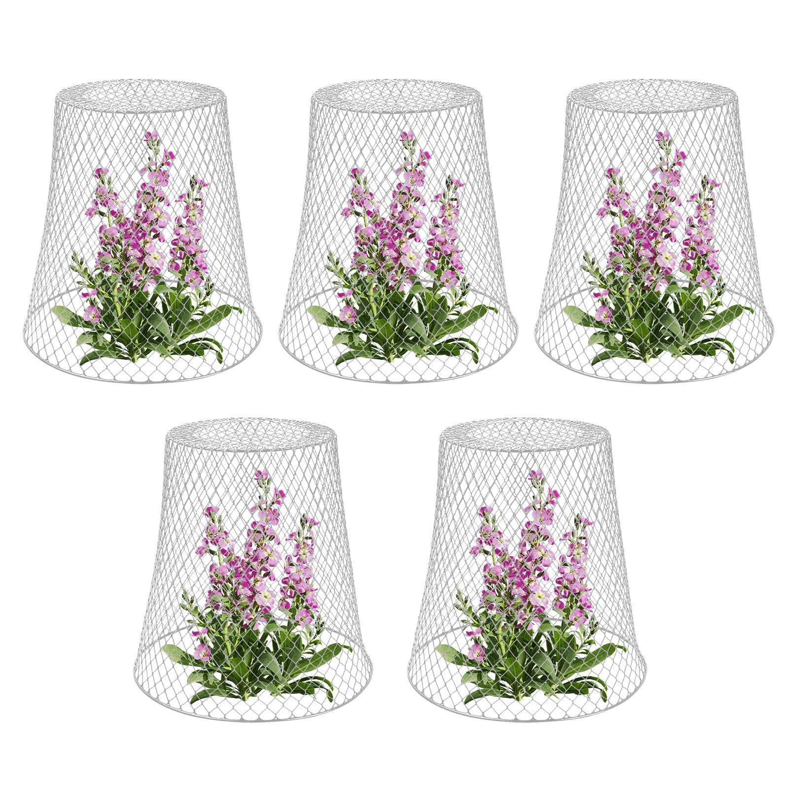 Cloches de Protection pour de Jardin Ensemble De Cinq Pièces De Protection