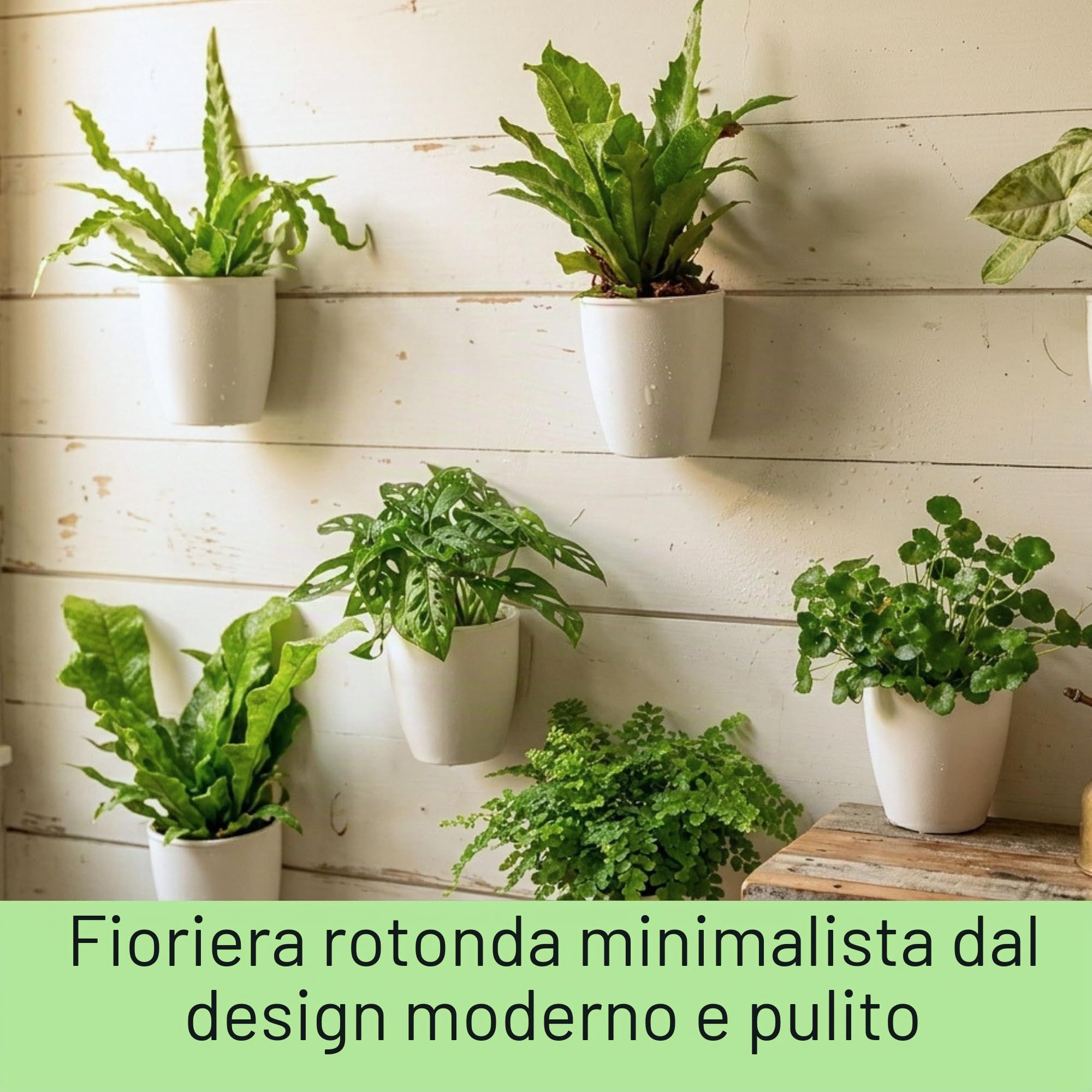 LáLáGreen - Fioriere da parete per piante da interno, confezione da 10, vaso in plastica autoirrigante da 12,7 cm, sistema di fioriere da parete, alla moda, per erbe aromatiche, bianco