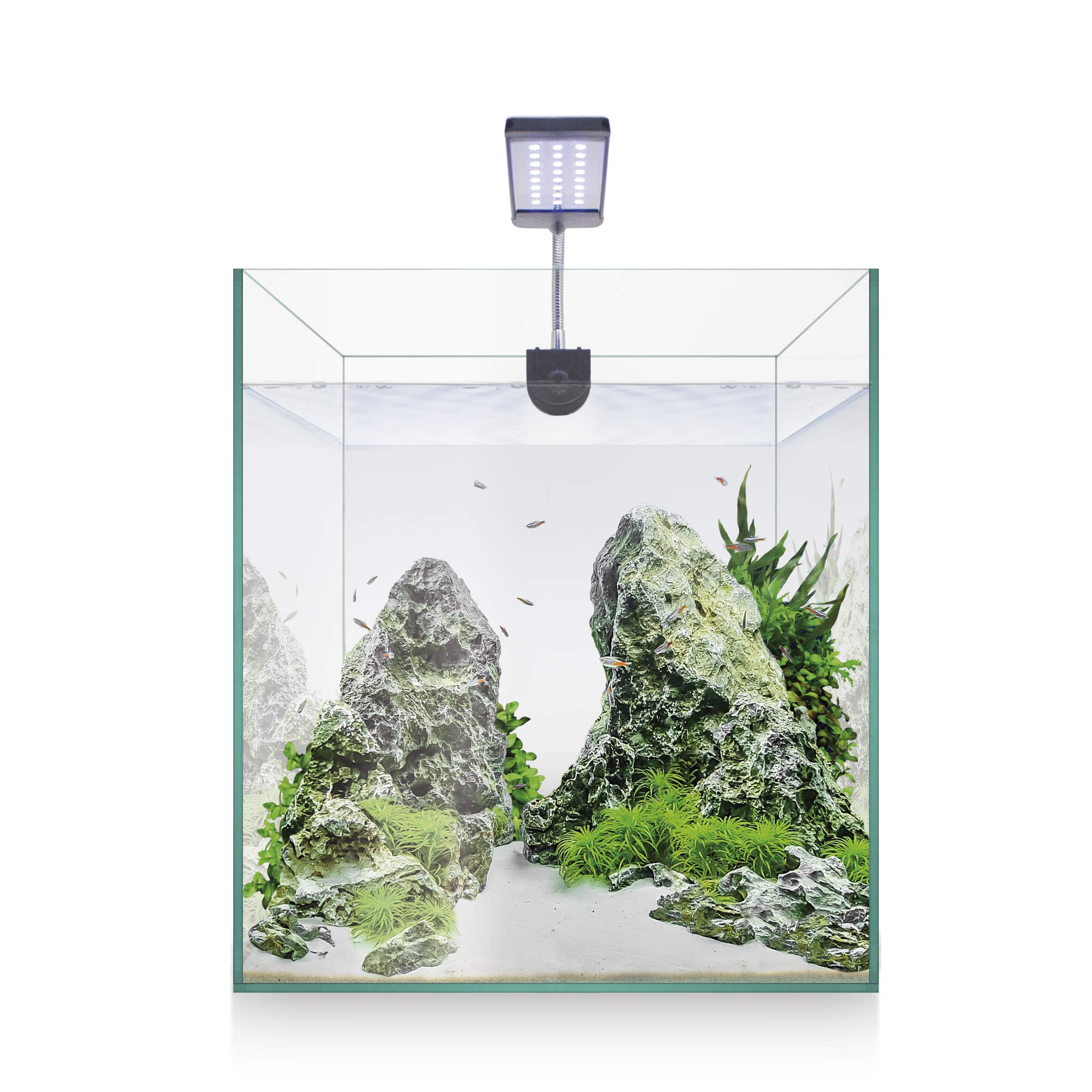 ICA KNAQ10 Kit Acuario Nano AQUASCAPE RGB 10 litros, 20,7x20,7x26 cm, Filtro Cascada, Pantalla LED RGB, Alimento Peces, Acondicionadores, Sustrato Aqua Gro, Guía Práctica del Aquascaping