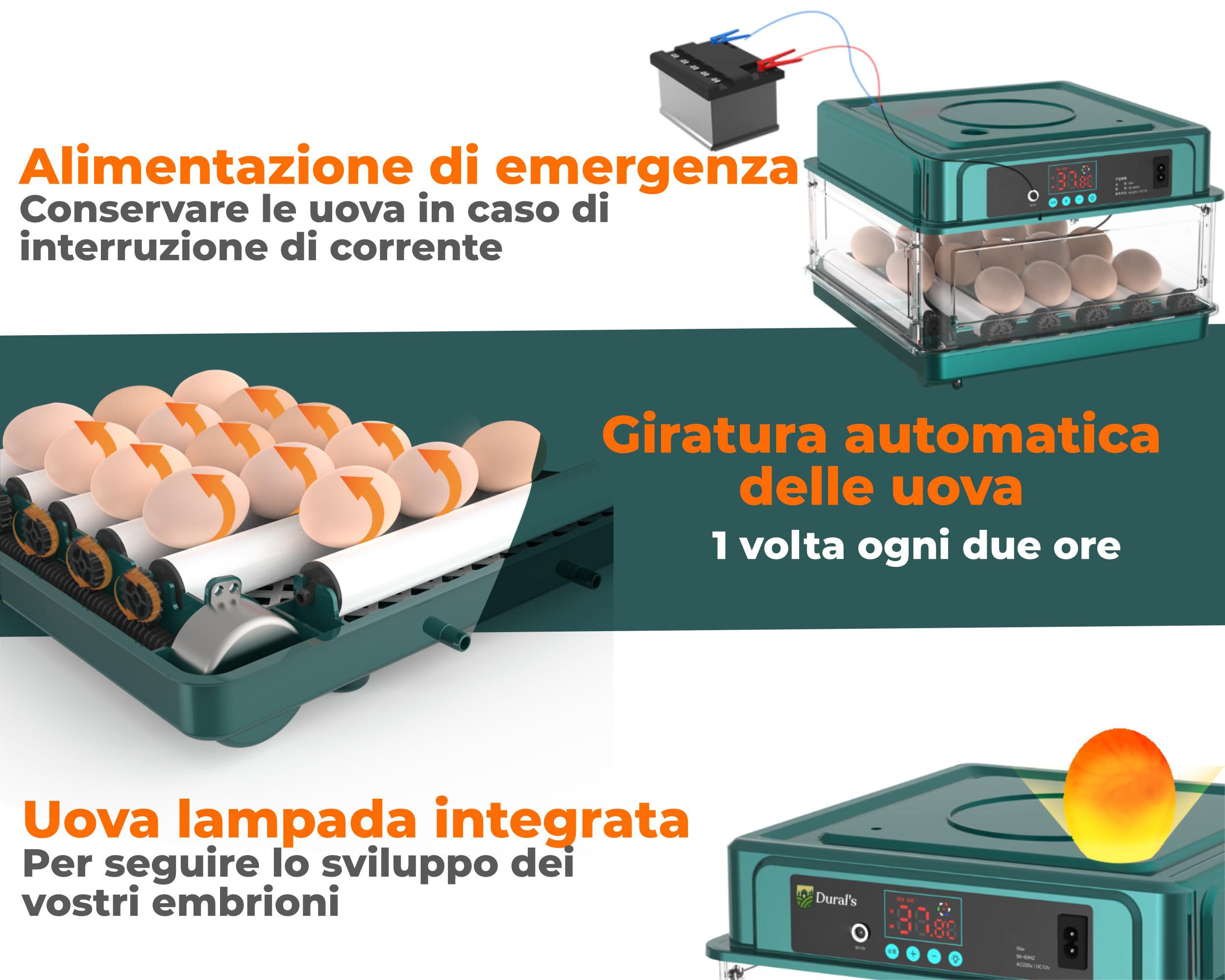 Dural's | Incubatrice per Uova | Certificata CE | Incubatrice per Uova Automatica con Controllo Preciso della Temperatura e Rotazione + EBOOK