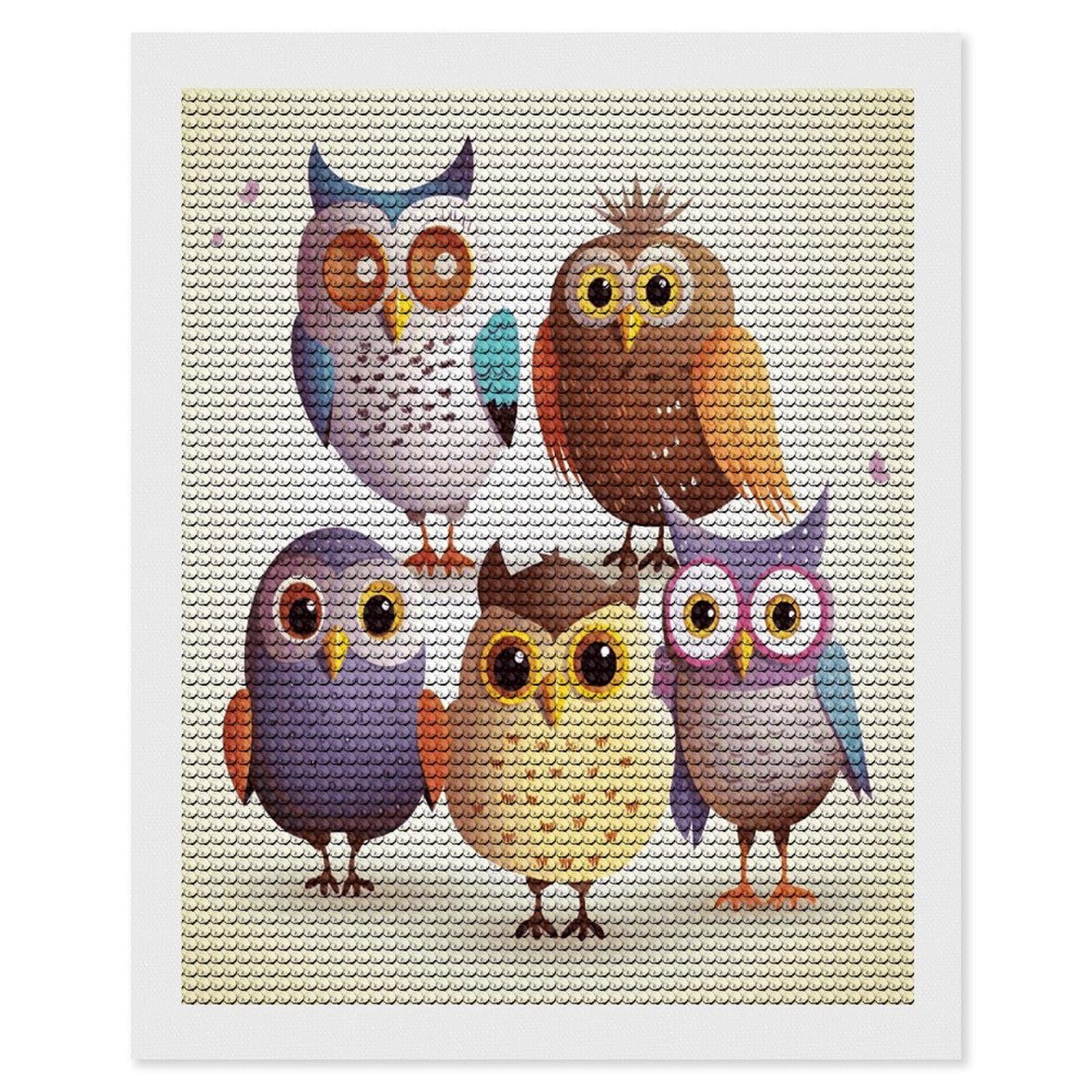 FekiLoot Owls Birds Paint by Numbers Kit for Adults Beginner DIY Diamond Dots Paintings Round Full Drill Diamond Art Kits Picture Diamond Art Painting Kits for Home Decor 16"x20"