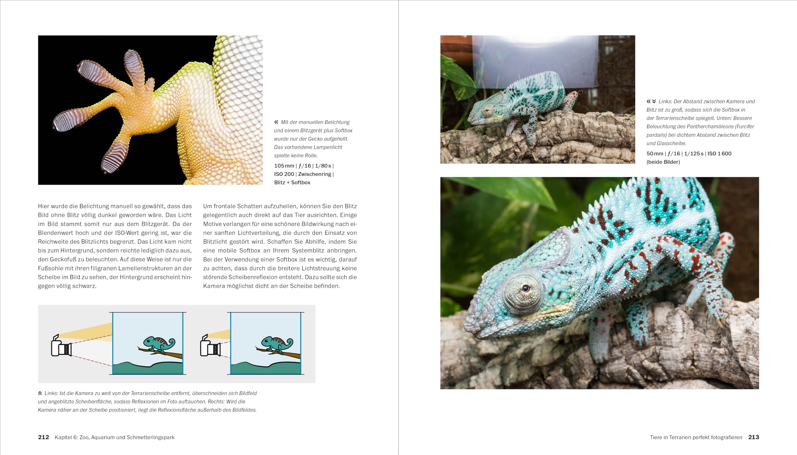 Makrofotografie: Die große Fotoschule. Pflanzen, Insekten und Objekte fotografieren. Ausrüstung, Technik, Bildgestaltung, Motivideen (Auflage 2024)