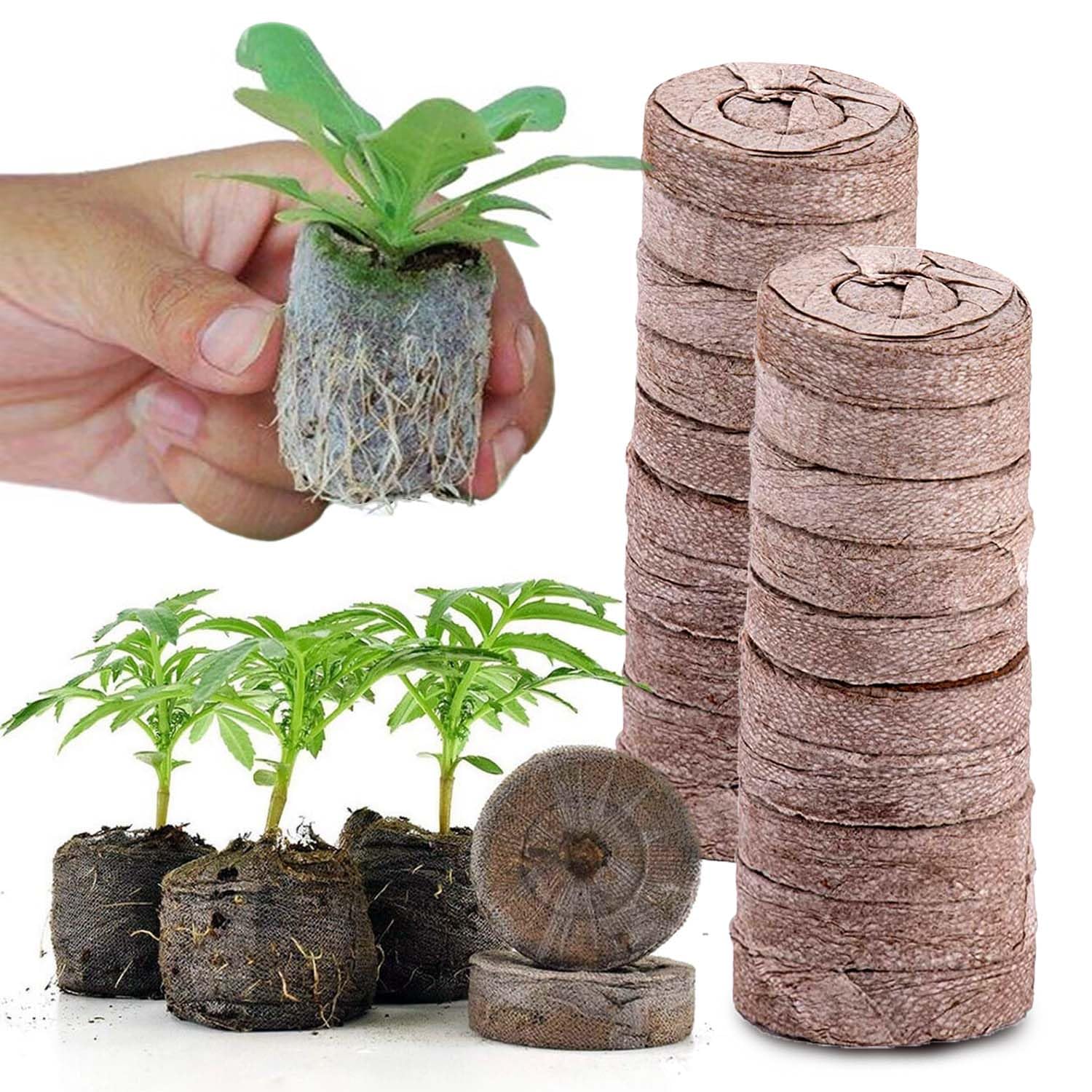 Casa De Amor 45 mm Coco Peat Pellets for Seed Germination, Pack of 50
