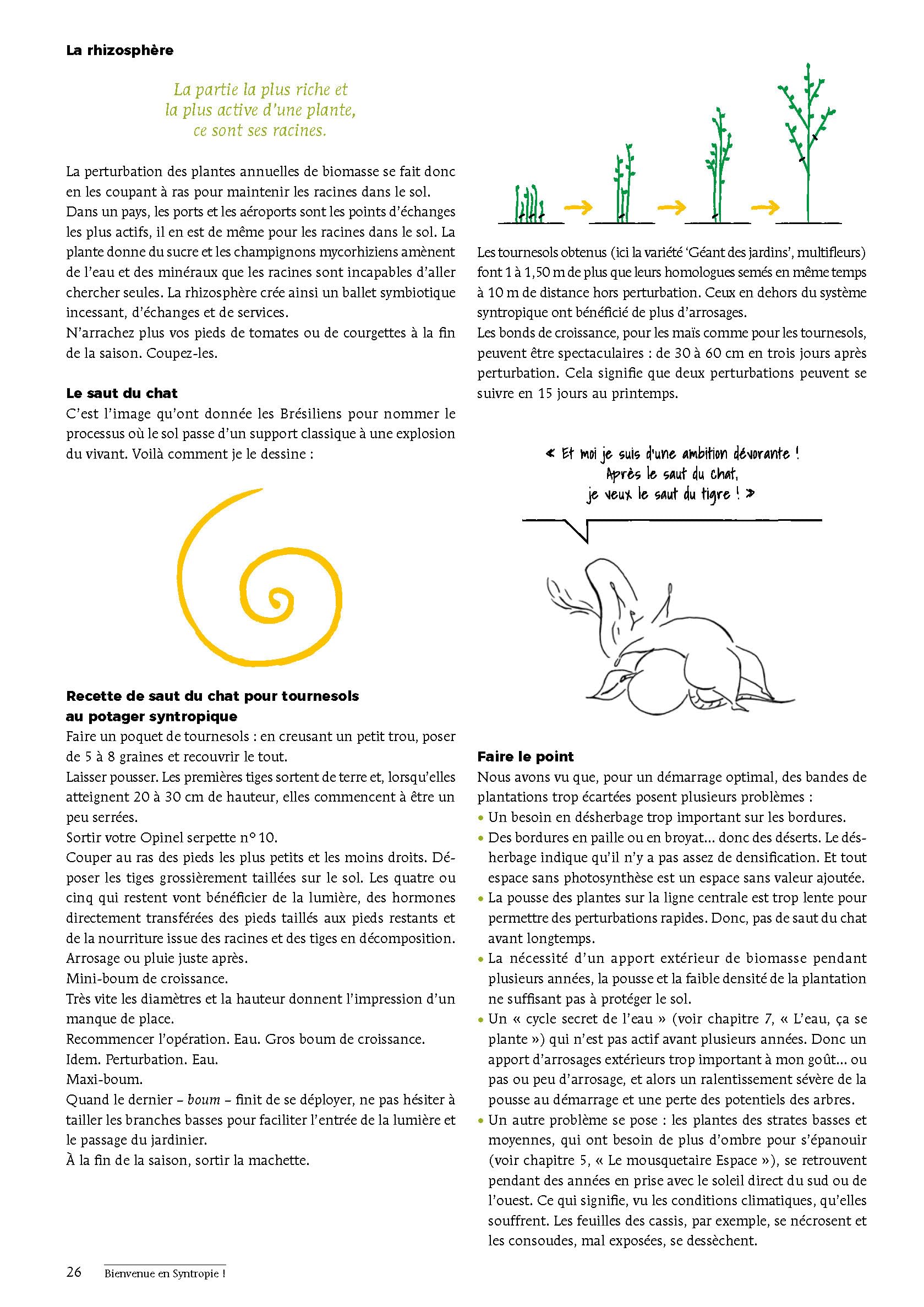 Bienvenue en syntropie: Un jardin d'abondance, des principes au terrain