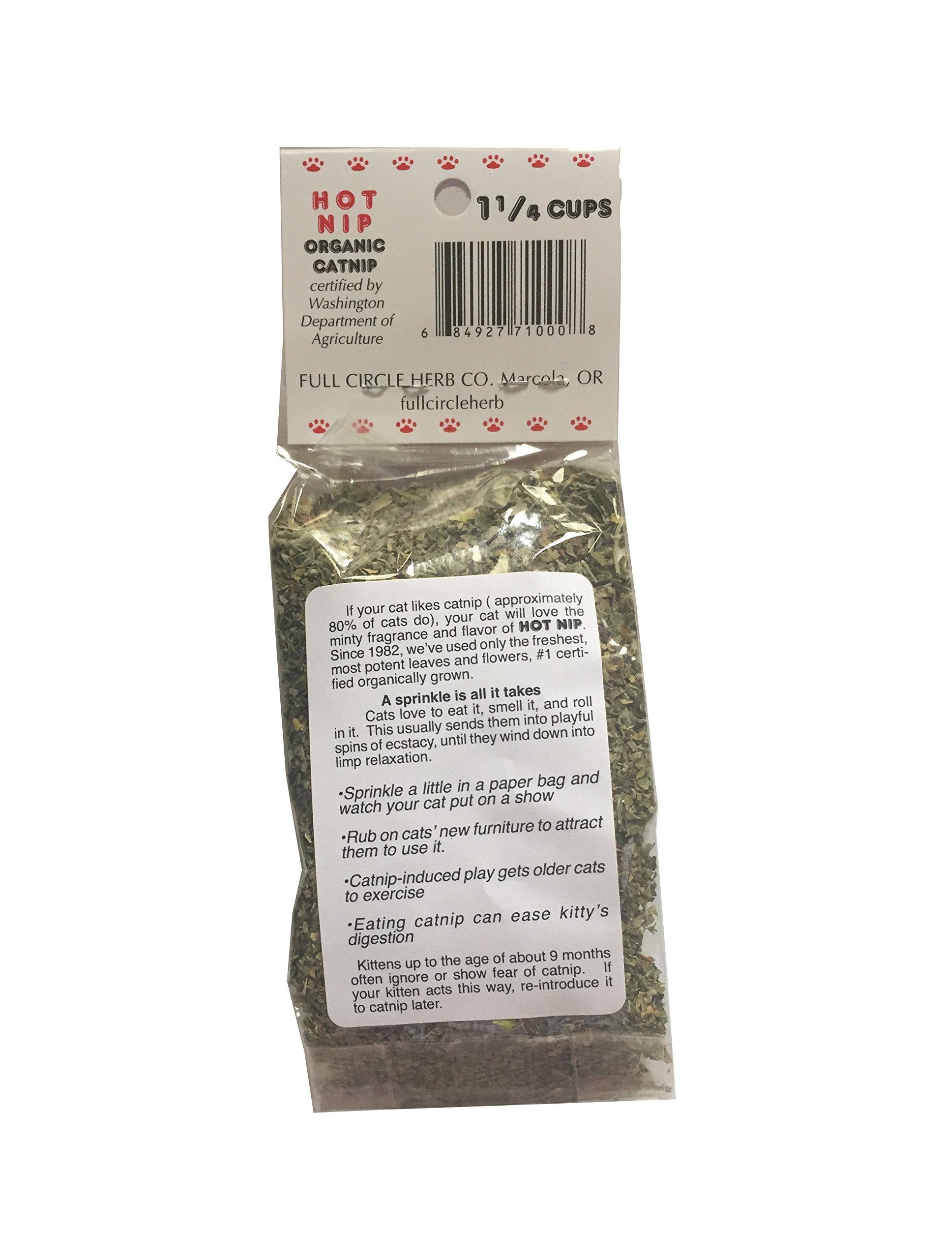 Full Circle Herb, kocimiętka dopuszczona przez koty, Hot Nip Bio kocimięta, 1 sztuka