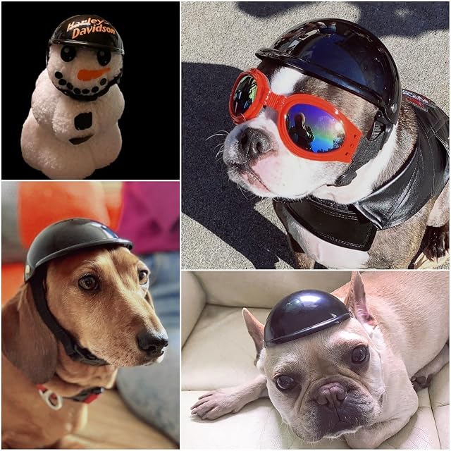 Foto 7 de 7 de Enjoying Casco de perro para perros medianos, cascos de motocicleta para perros bulldog