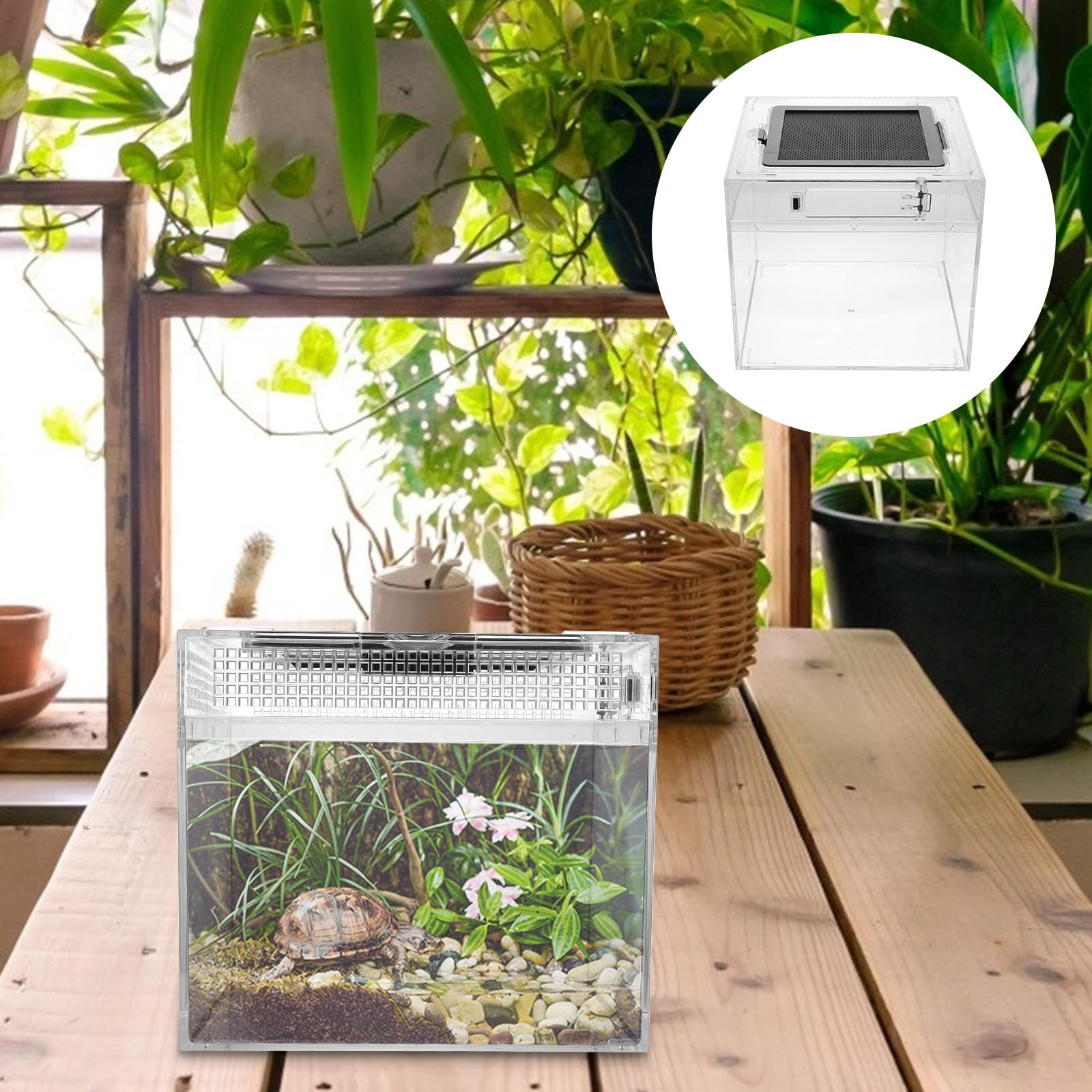 Terrario per Rettili in PC Leggero Sistema di Ventilazione per Tartarughe e Ragni, Contenitore per Allevamento da Esterno Resistente e Pratico