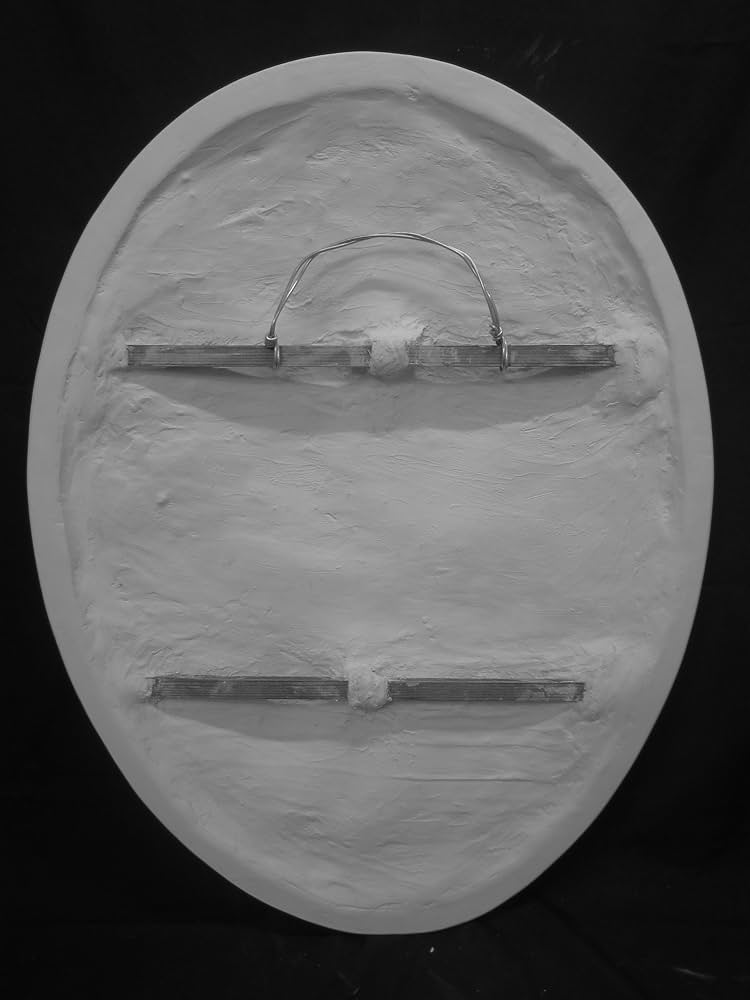 81rgYCAidQL._AC_UF894,