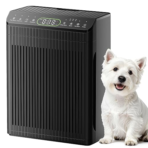 Evalit Air Purifier for Pet 2200 Ft² Graphite
