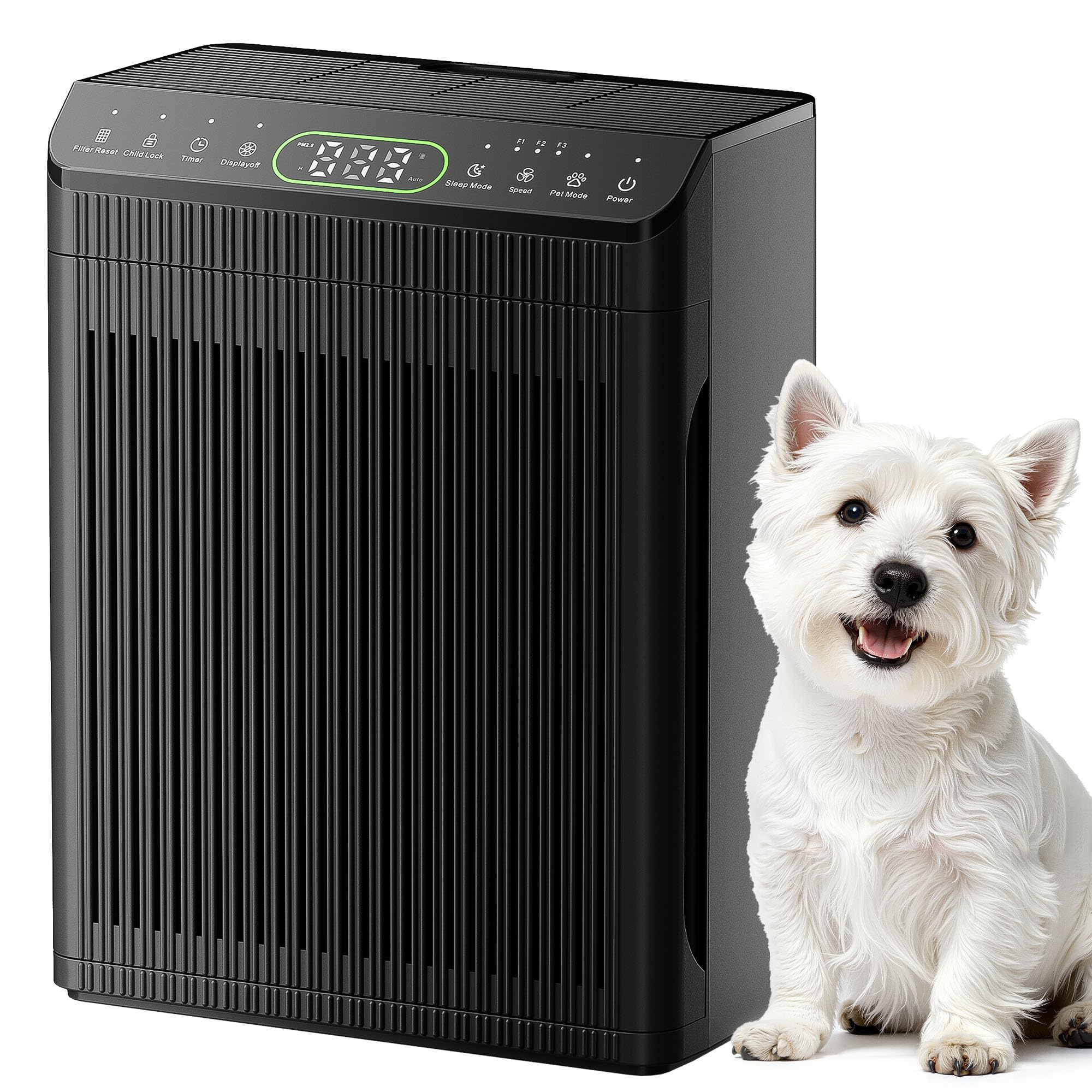 ET066 Large Room Purifier