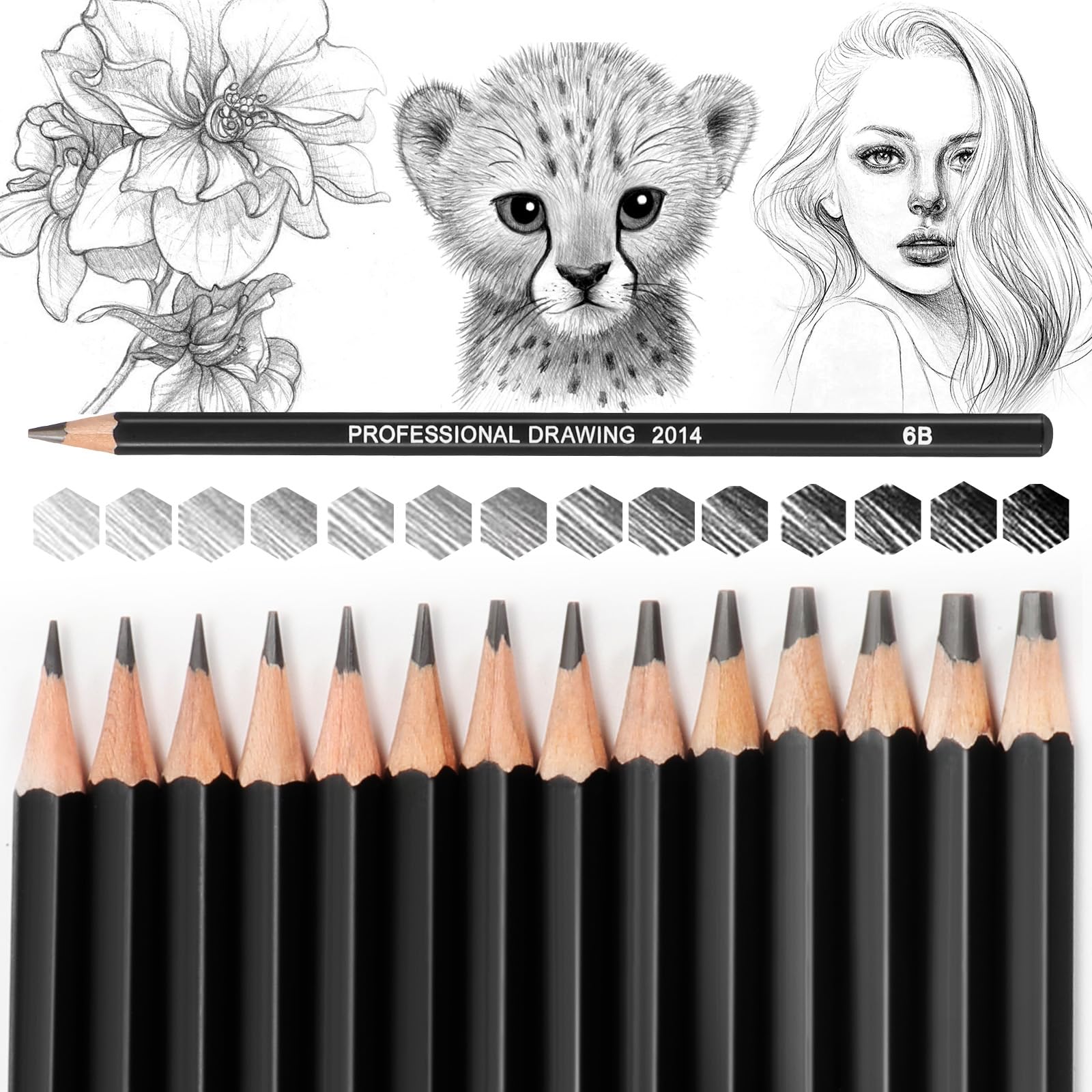 Blendura 14 Professional Drawing Pencils Sketching Pencils Set 12B, 10B, 8B, 7B, 6B, 5B, 4B, 3B, 2B, B, HB, 2H, 4H, 6H, Black, 14 unità (Confezione da 1), 14 Professional Drawing Pencils Sketching