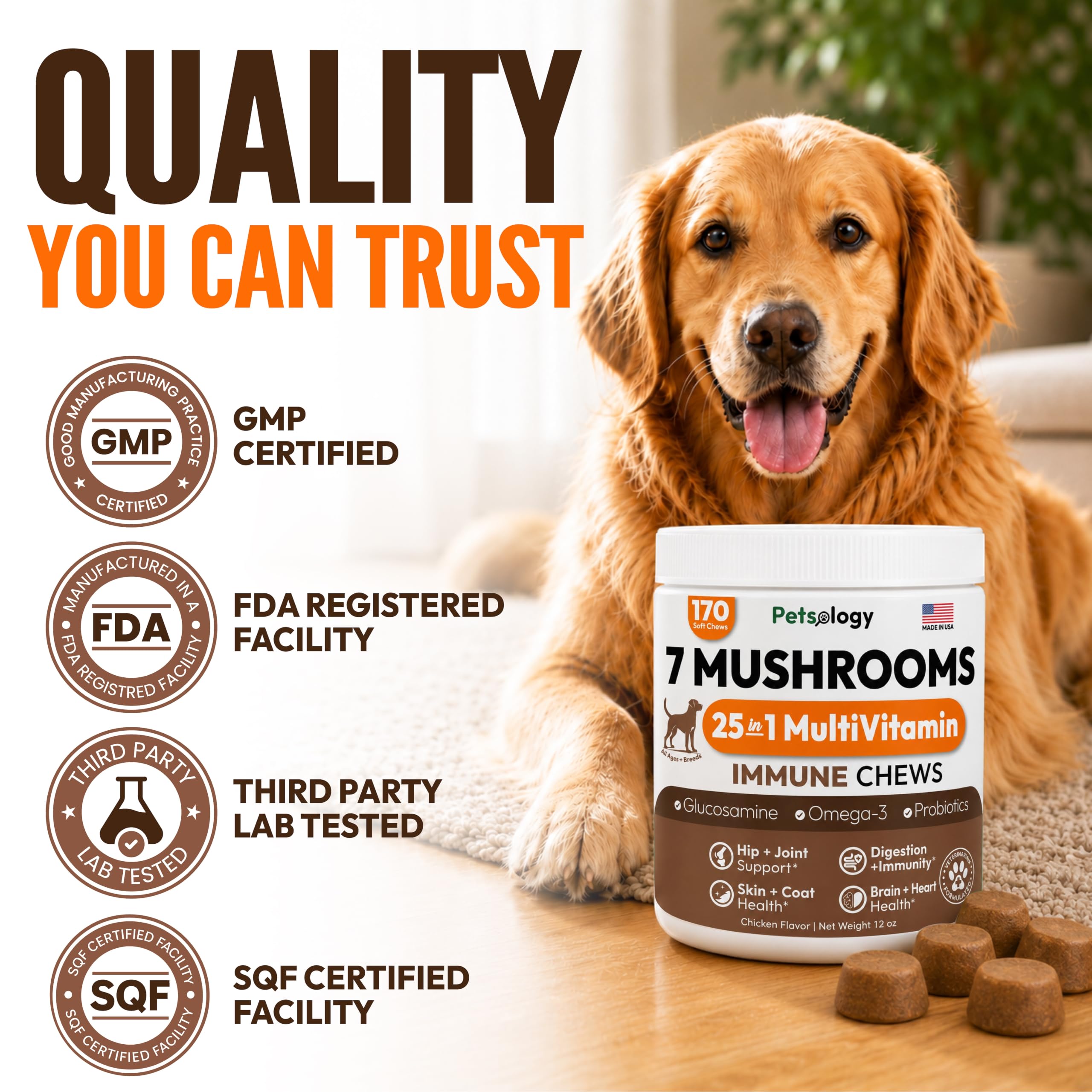 Turkey Tail Mushroom for Dogs - 170 Chews - Lion's Mane, Shiitake & Reishi — Amazon image 6