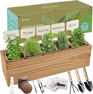 5 Herb Garden Planter Indoor with Wooden Box, Home Kitchen Seed Starter ...