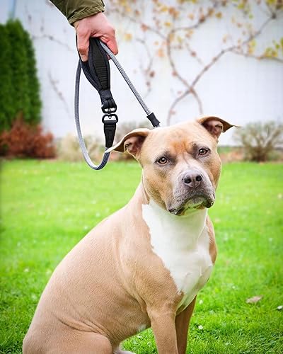 Miniatura 2 de Heydoggy Correa antideslizante para perro, correa antideslizante fuerte para entrenamiento de perros giro de 360 antienredos - 4 pies6 pies, nailon