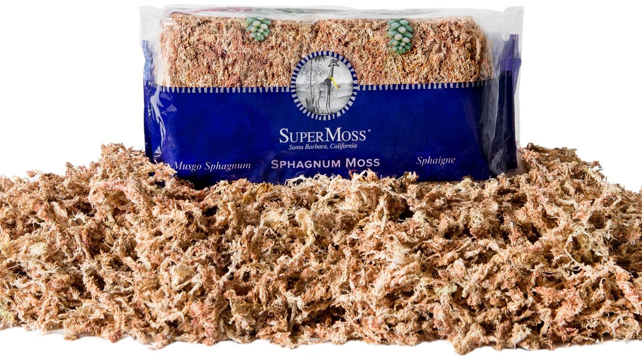 Amazon.com : SuperMoss (22325) Orchid Sphagnum Moss Dried, Natural