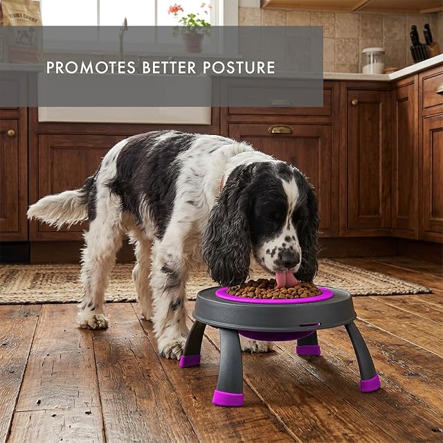 Foto 7 de 7 de Dexas Comedero Elevado para Mascotas, con Capacidad para 4 Tazas, Color Fucsia