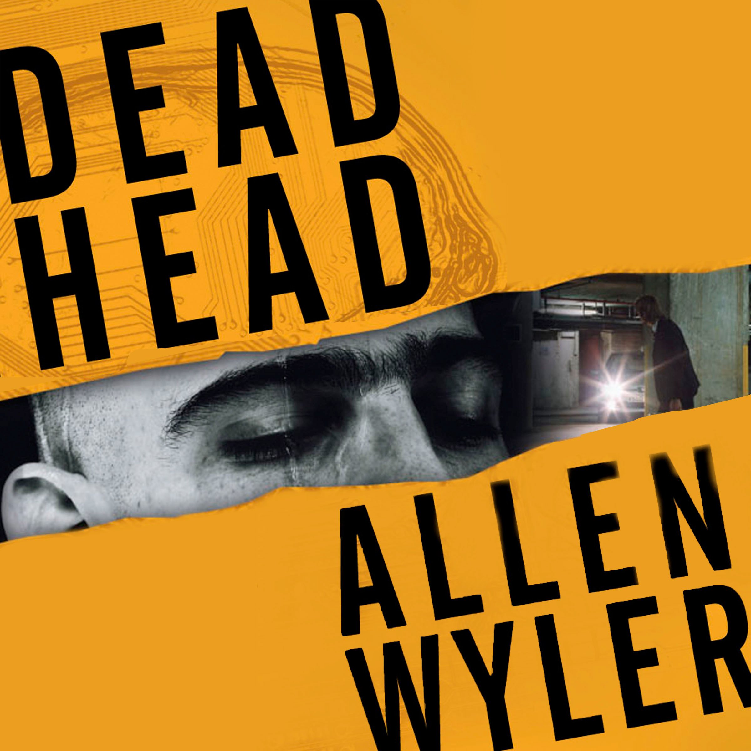 Cover art for Dead Head
