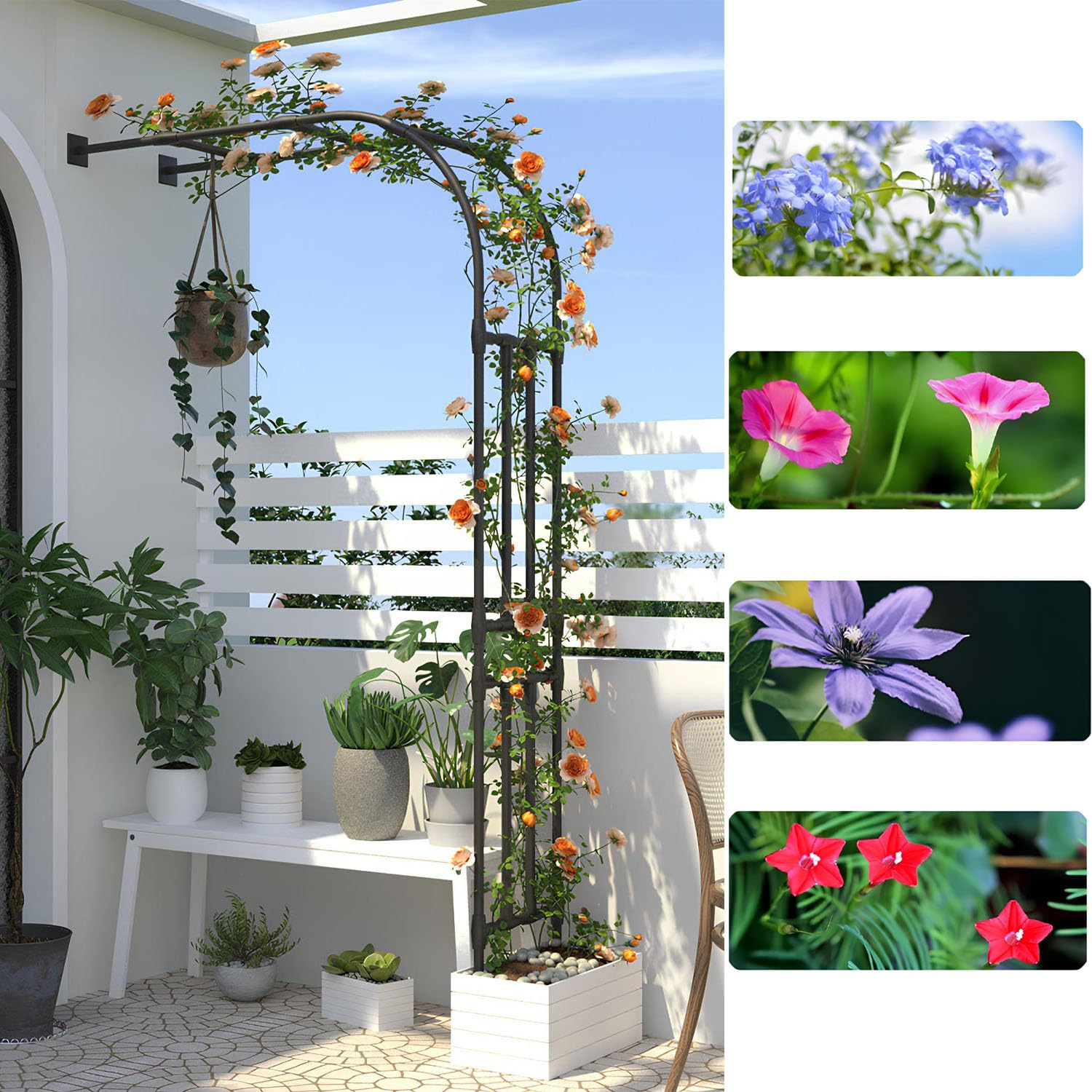 Arco per rose in metallo – Elegante pergolato da giardino a metà faccia per piante rampicanti, facile da montare, perfetto per uso interno ed esterno, ideale per matrimoni, eventi e composizioni