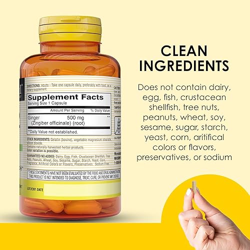 Miniatura 5 de MASON NATURAL Hierba entera jengibre 500 mg, suministro de 2 meses, suplemento herbario natural, 60 cápsulas