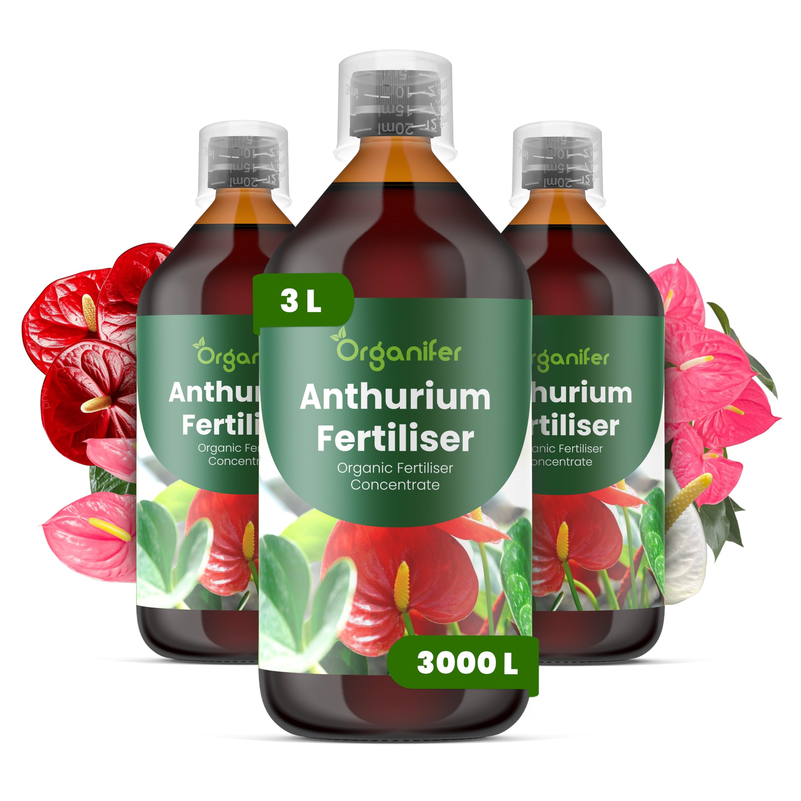Anthurium Płynny Nawóz - 3x1L - NPK 3-4-3