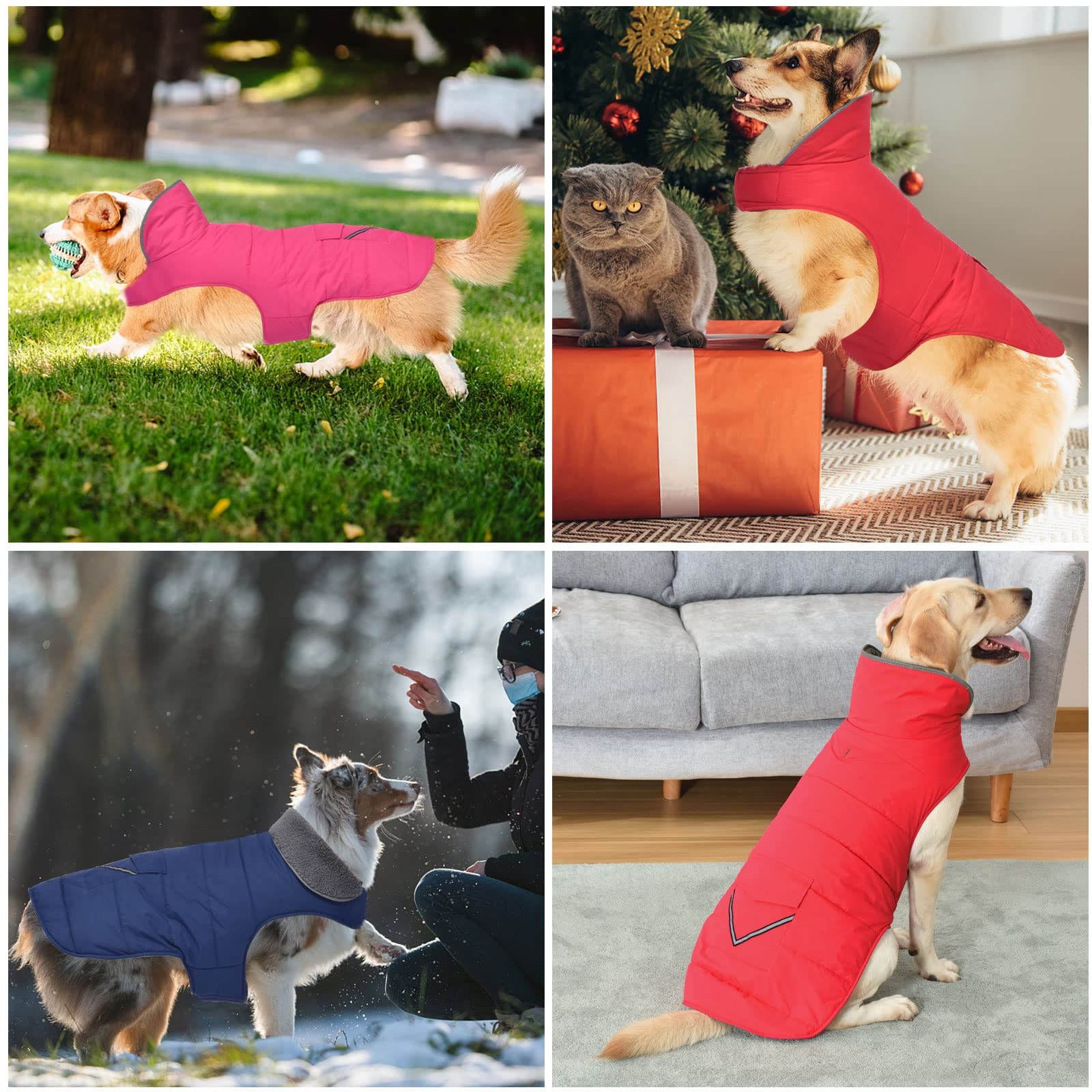 Petglad Cappottino per cani, giacca invernale impermeabile con tasca, riflettente regolabile, gilet da neve per animali domestici, caldo e accogliente maglione in pile per cani di taglia piccola