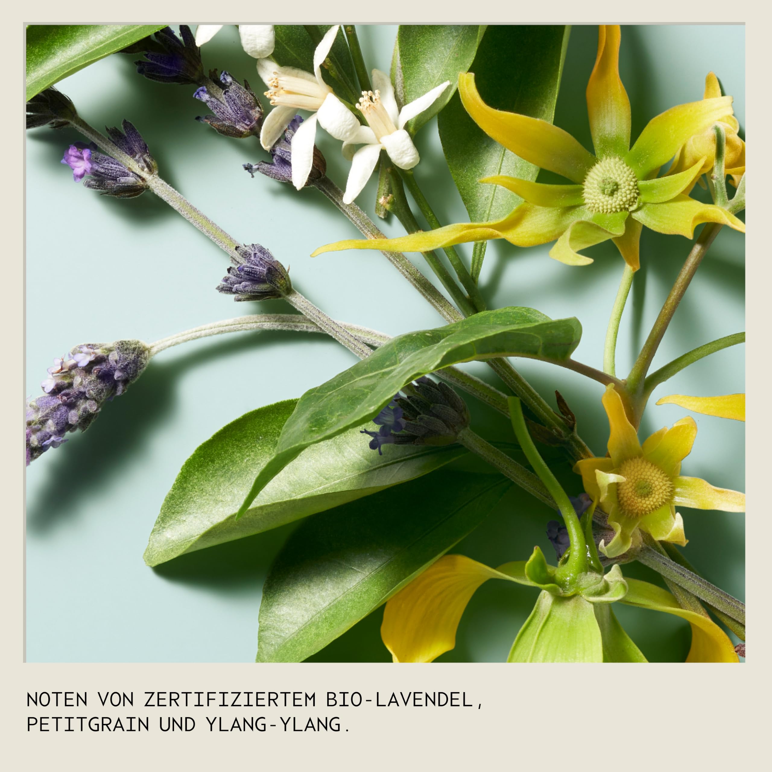 Aveda Shampure Nurturing Set | Shampoo und Conditioner | sanfte tägliche Pflege für feines bis mittleres Haar