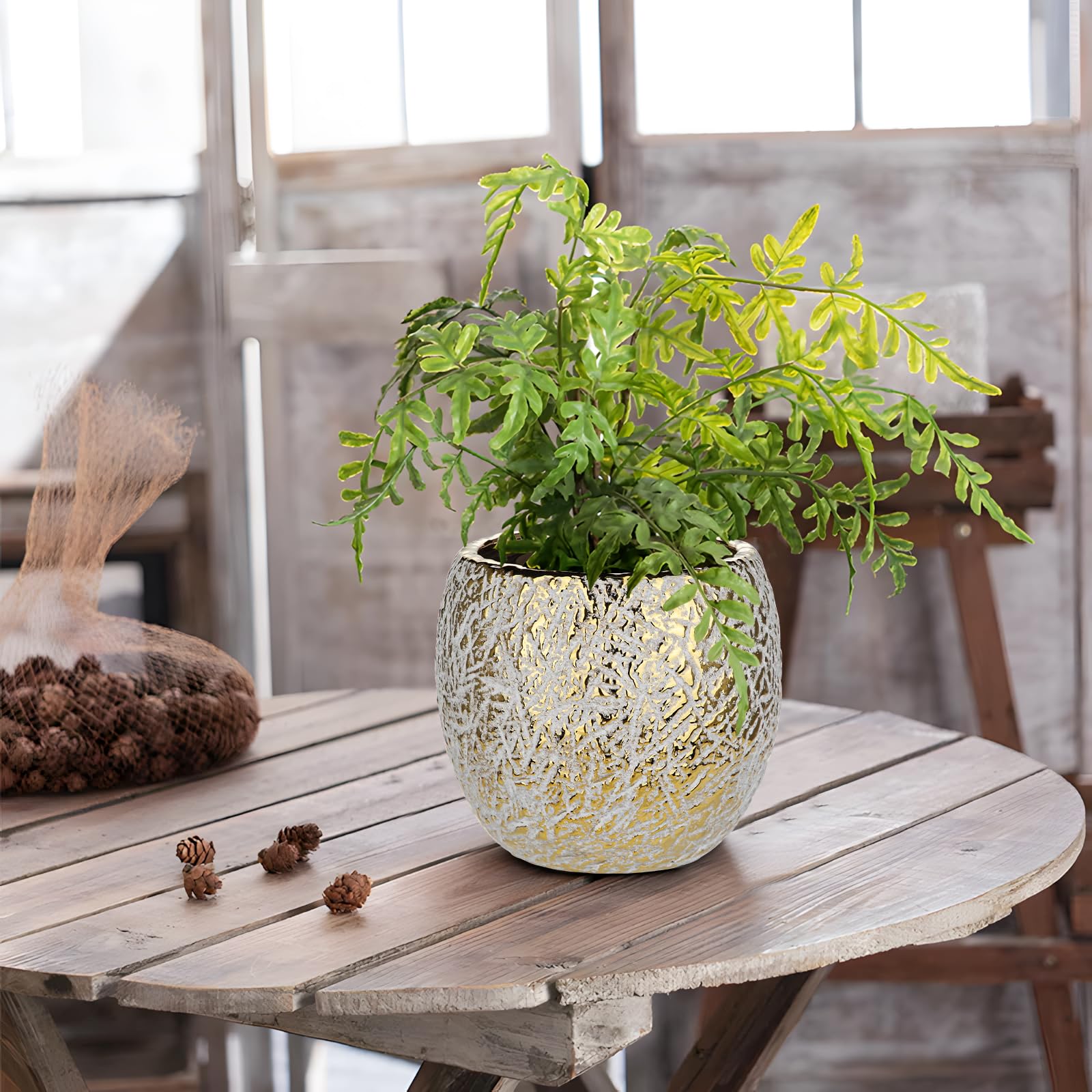 Amazon.com : Ceramic Plant Pots for Plants Indoor 5.3 Inch Round Gold and  White Flower Pot Gilded Decorative Planter with Drainage Hole and Saucer  Modern Ceramic Pot for Succulents Orchids Cactus Herbs