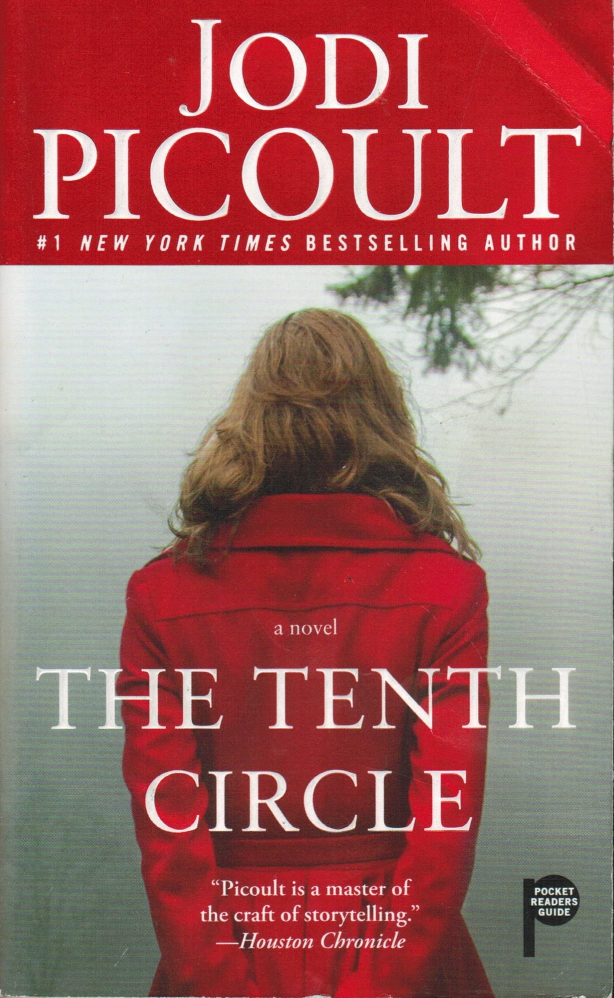 The Tenth Circle: A Novel: Picoult, Jodi: 9781476751320: Amazon.com: Books